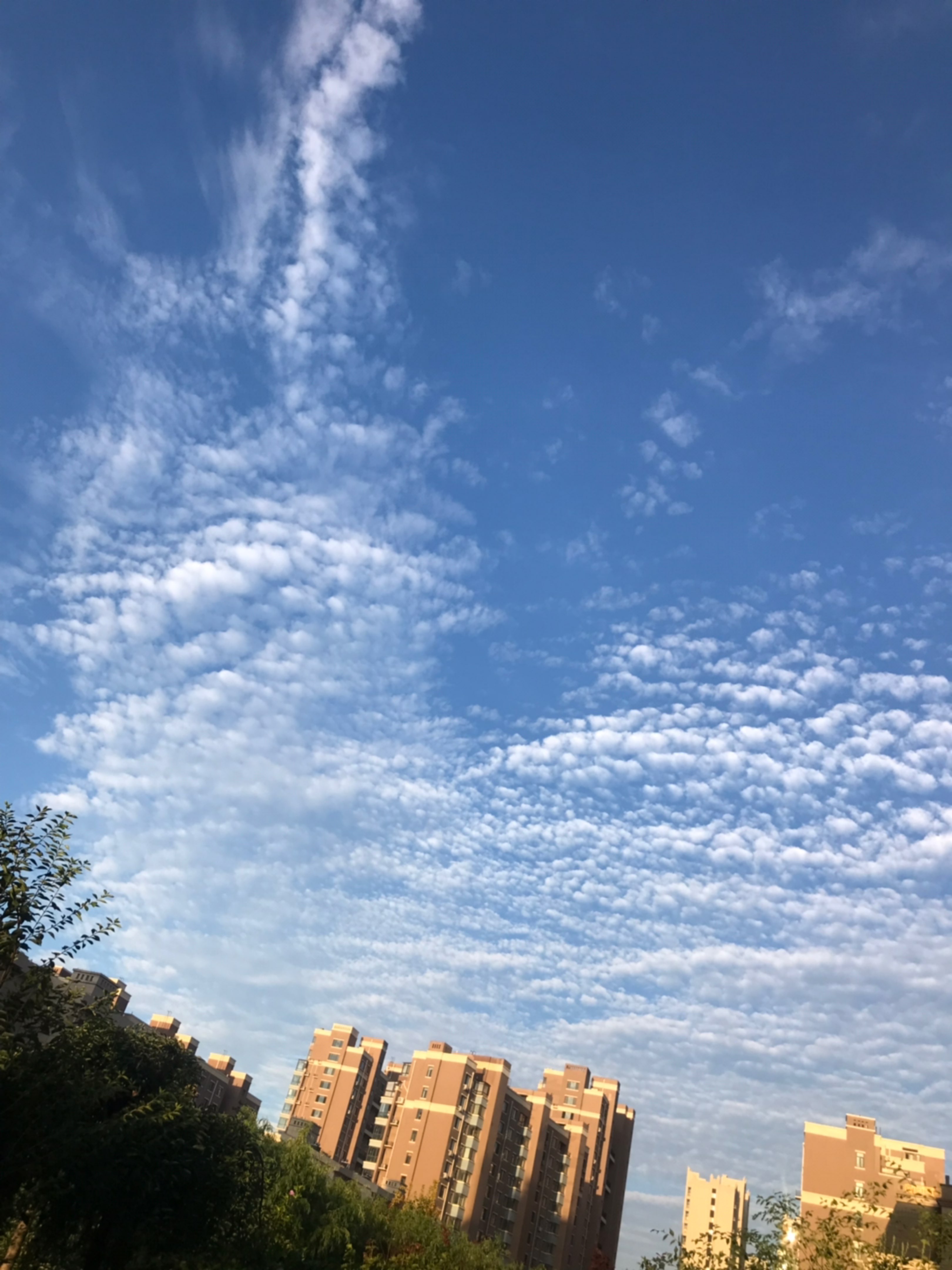 雨後的清晨有些微涼,適合放飛自我,調整好狀態又有三個自己被我甩在