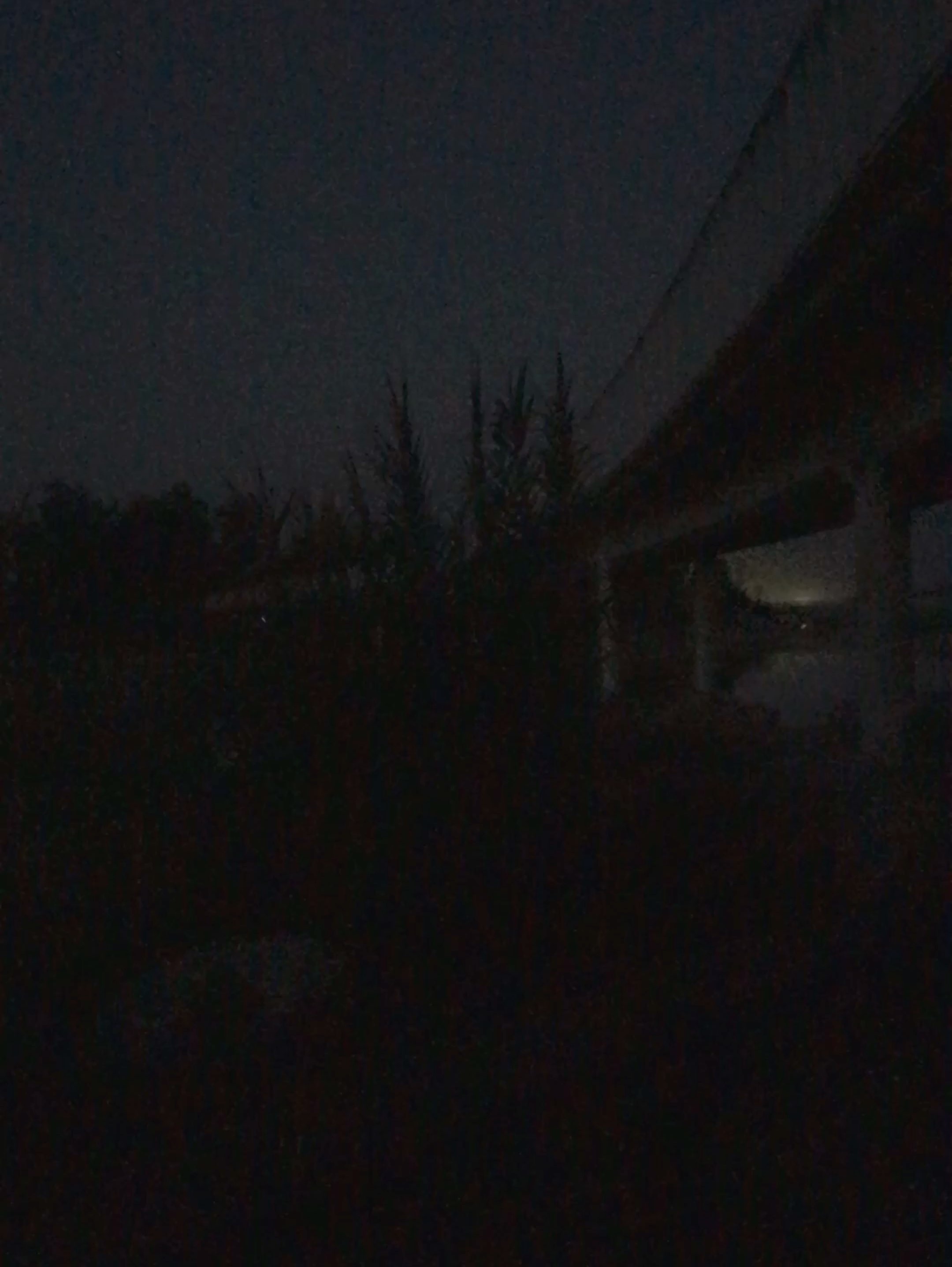 黑暗中的一点光,跑起来!