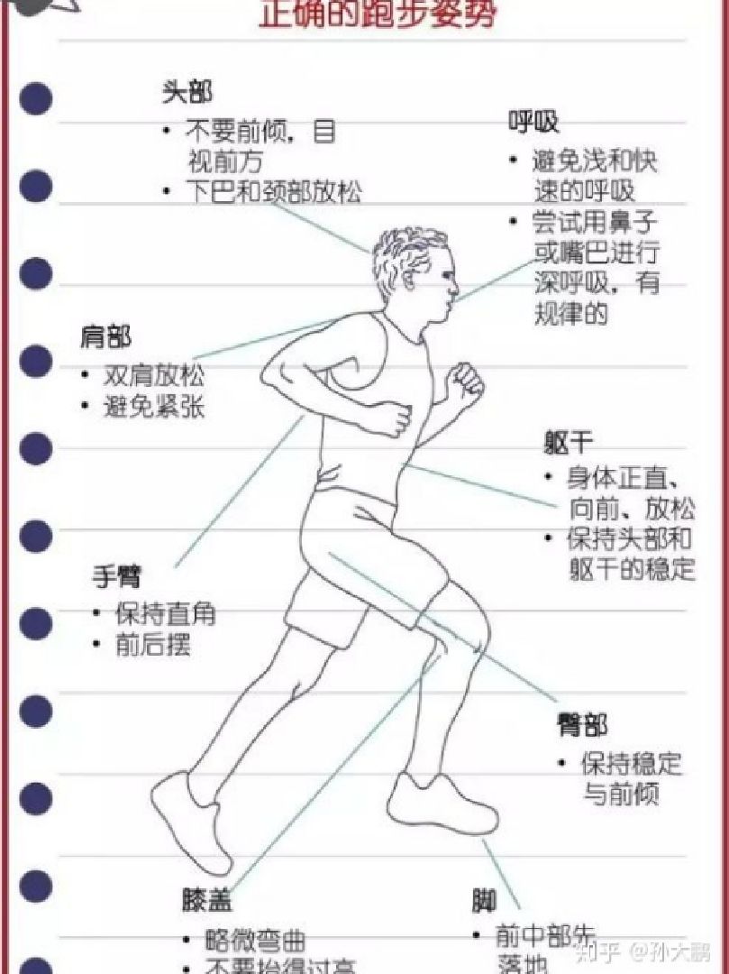 最简单热身图解短跑天赋身体特征跑步送髋和不送髋的图1000米跑步技巧