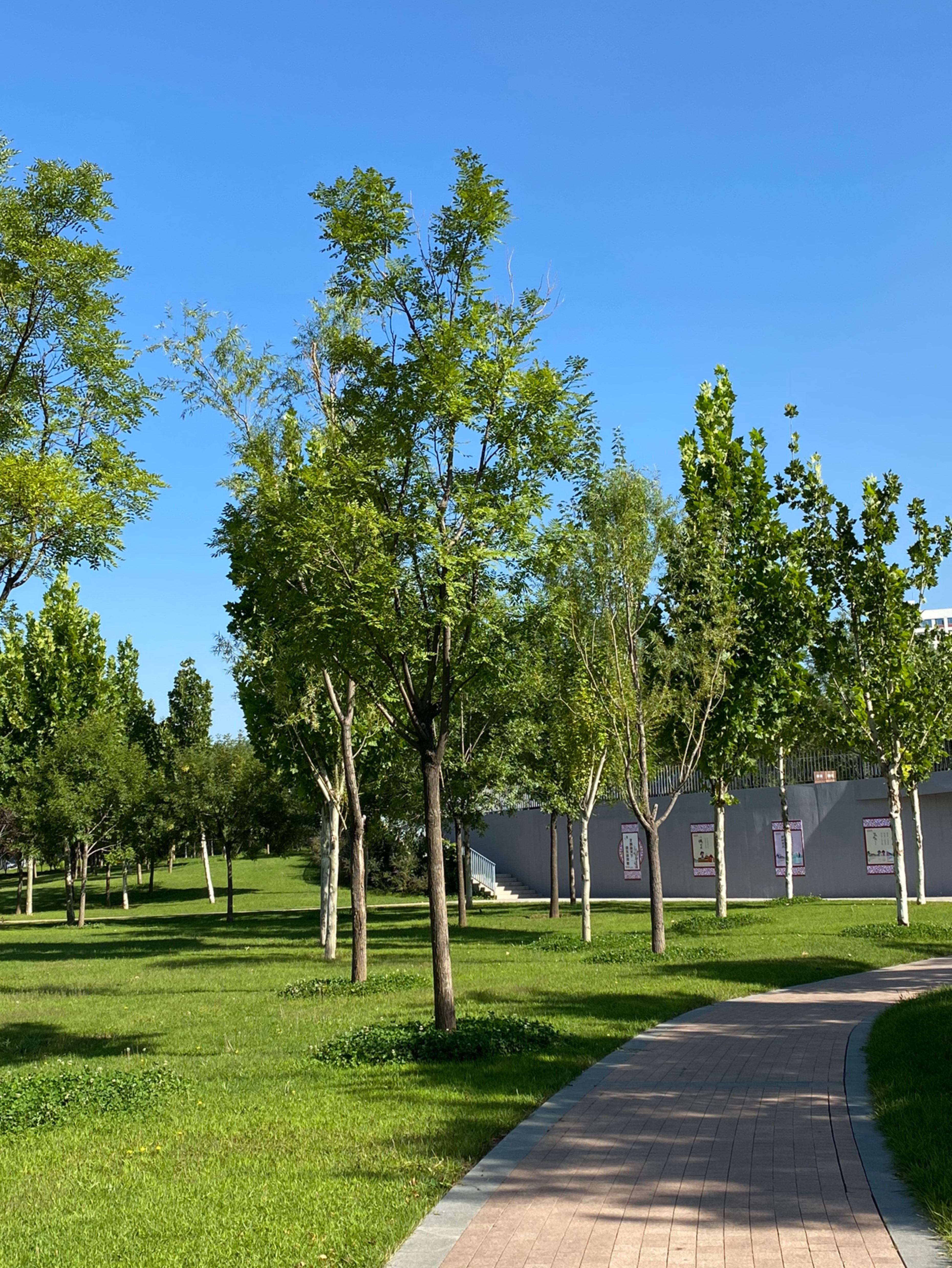 天气晴好阳光明媚