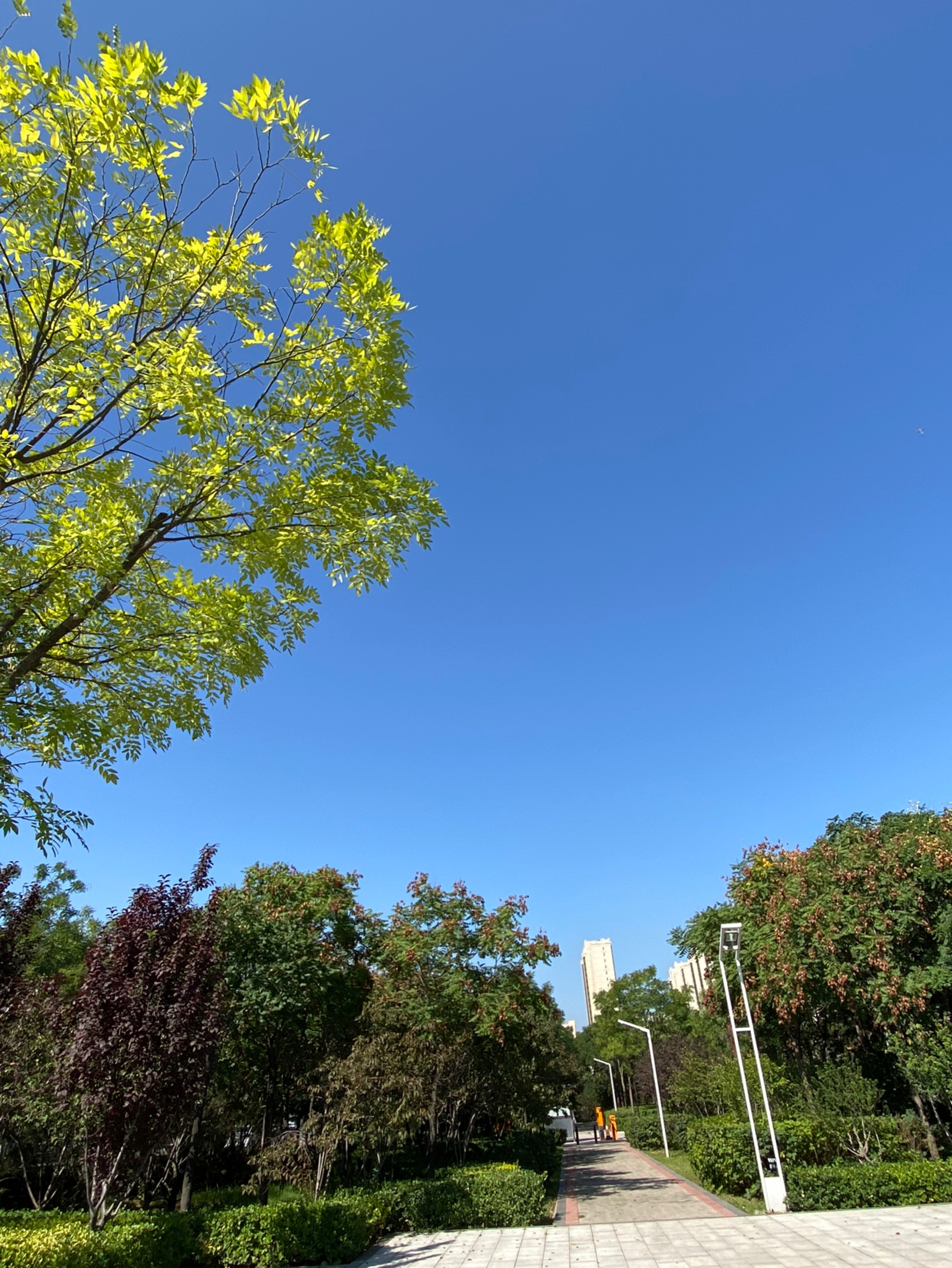 [肌肉][肌肉][肌肉],天气晴好,阳光明媚_keep