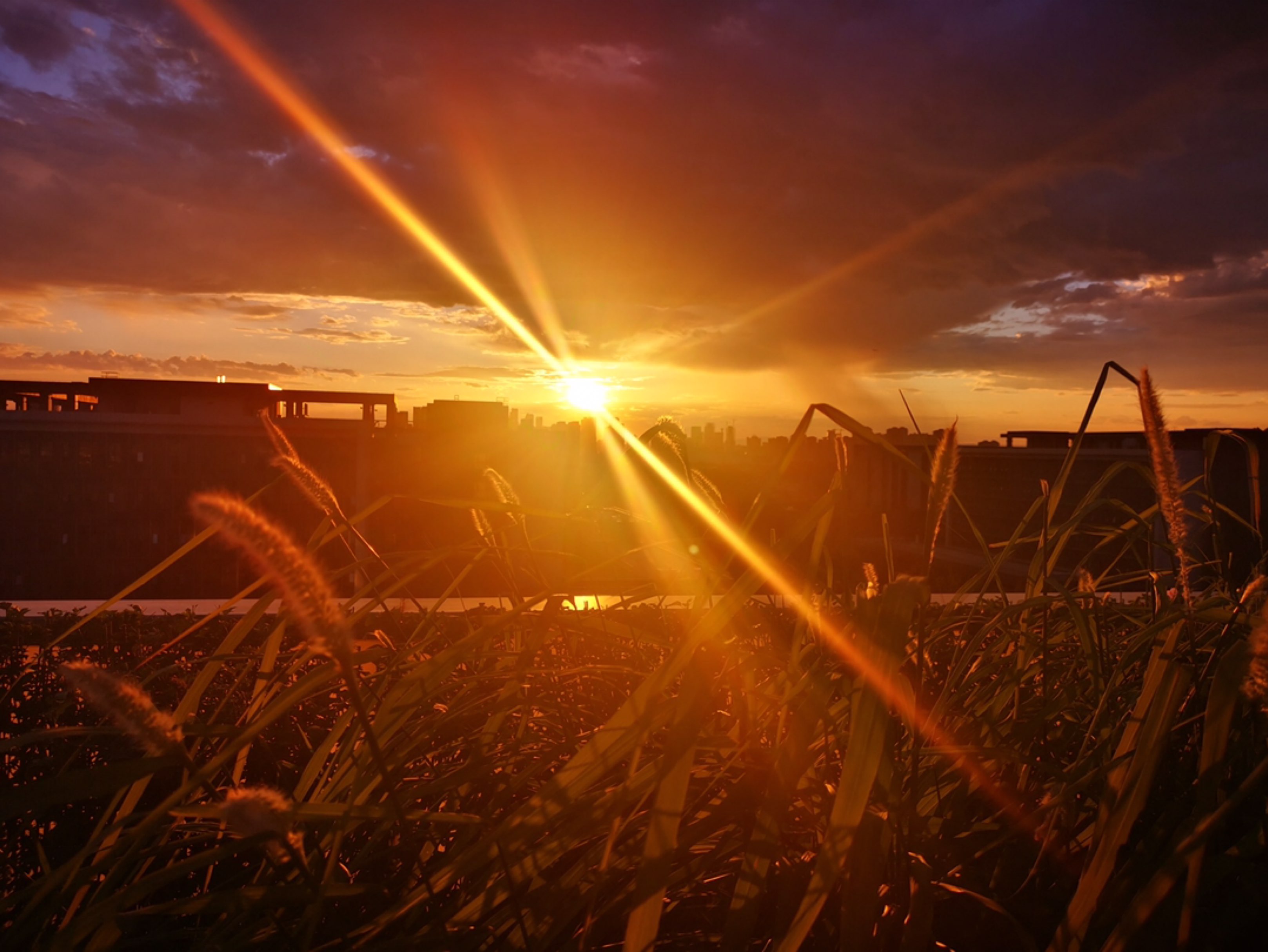 当太阳直射时影子就会消失当阳光照进内心所有得幽暗和阴霾都会消除
