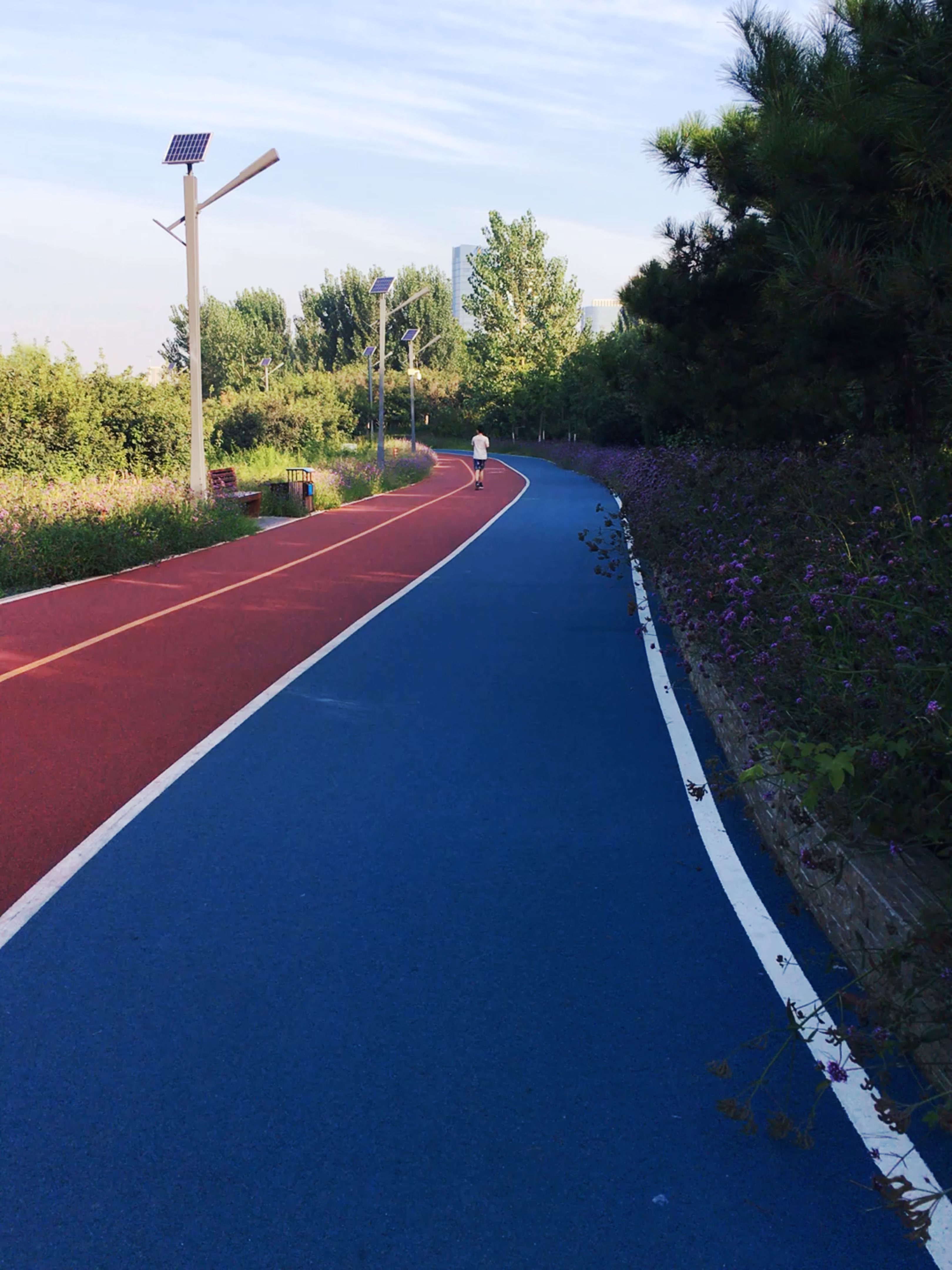 在最舒服的跑道上晨跑是一件很辛福的事情!送给忙碌了一个月的自己