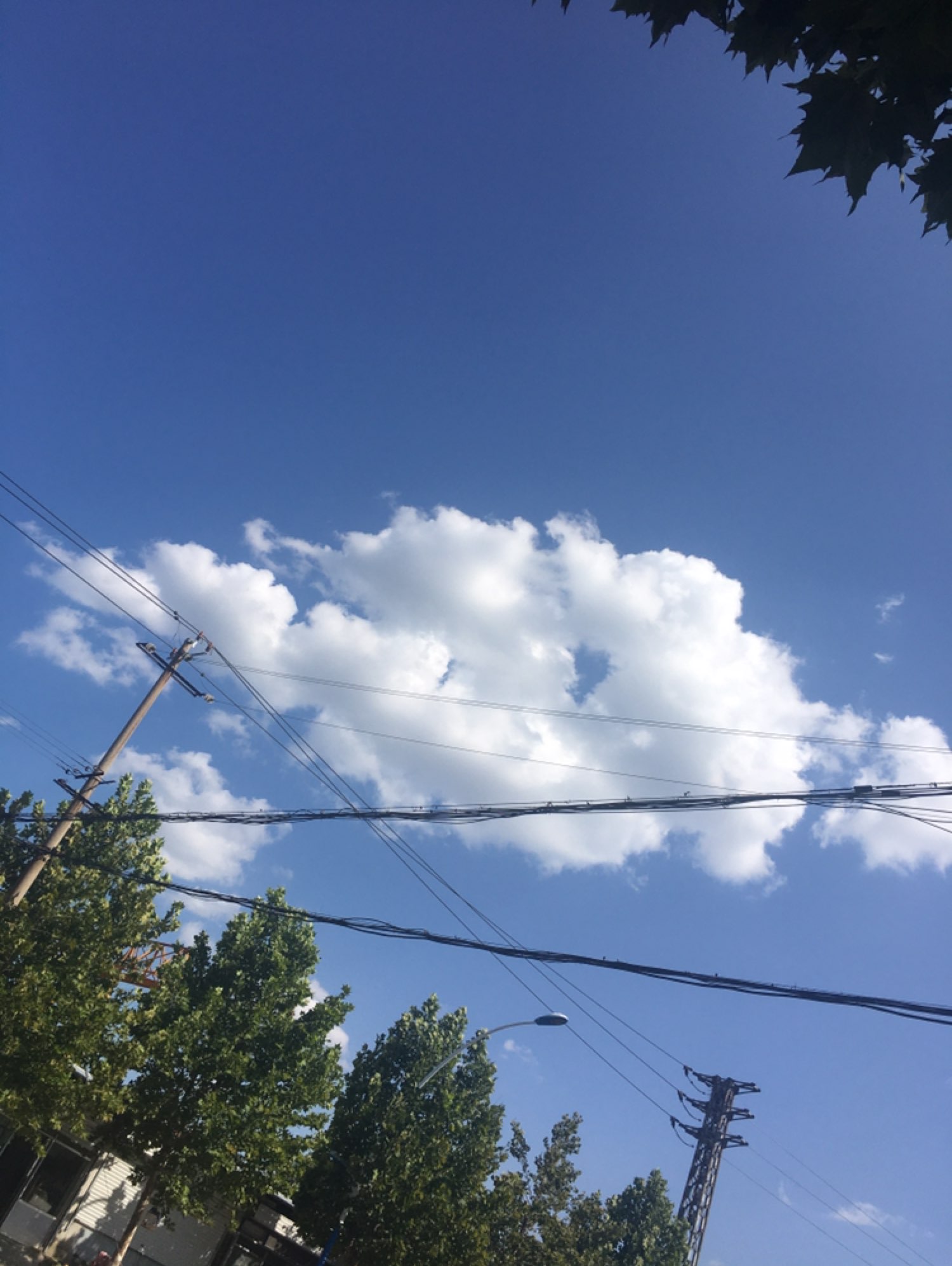 放一张白天的照片
