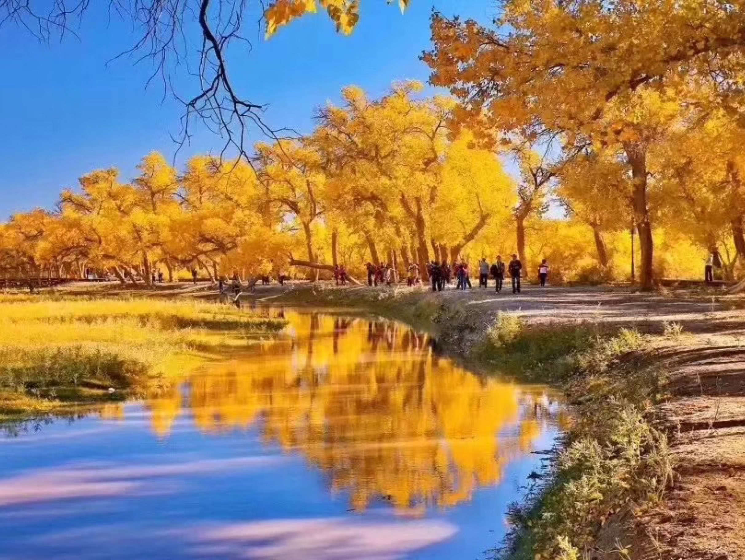 初秋的清晨,美好!