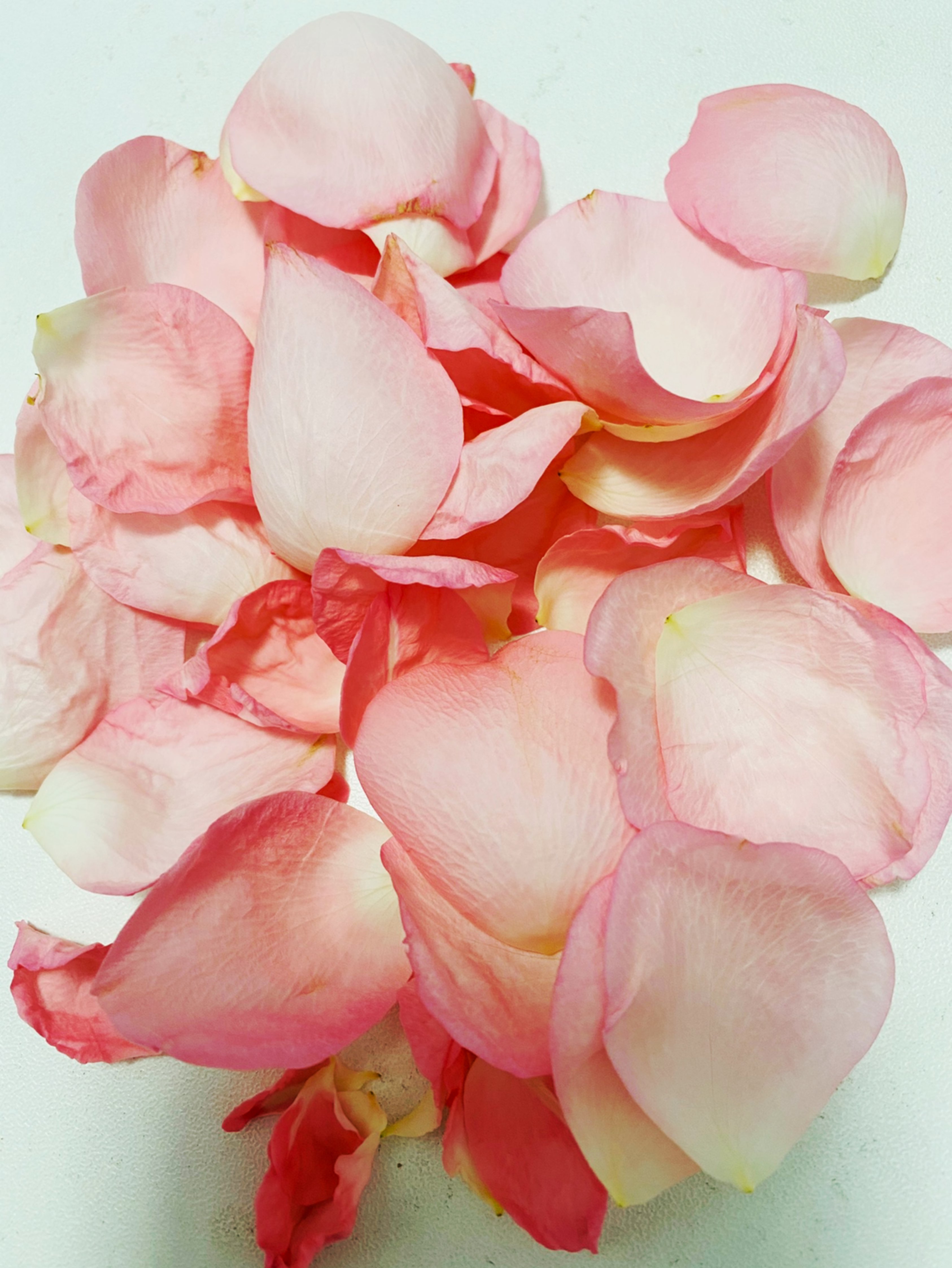 些时候不能用微笑面对那就用沉默代替吧～下午用数花瓣做决定单数yes