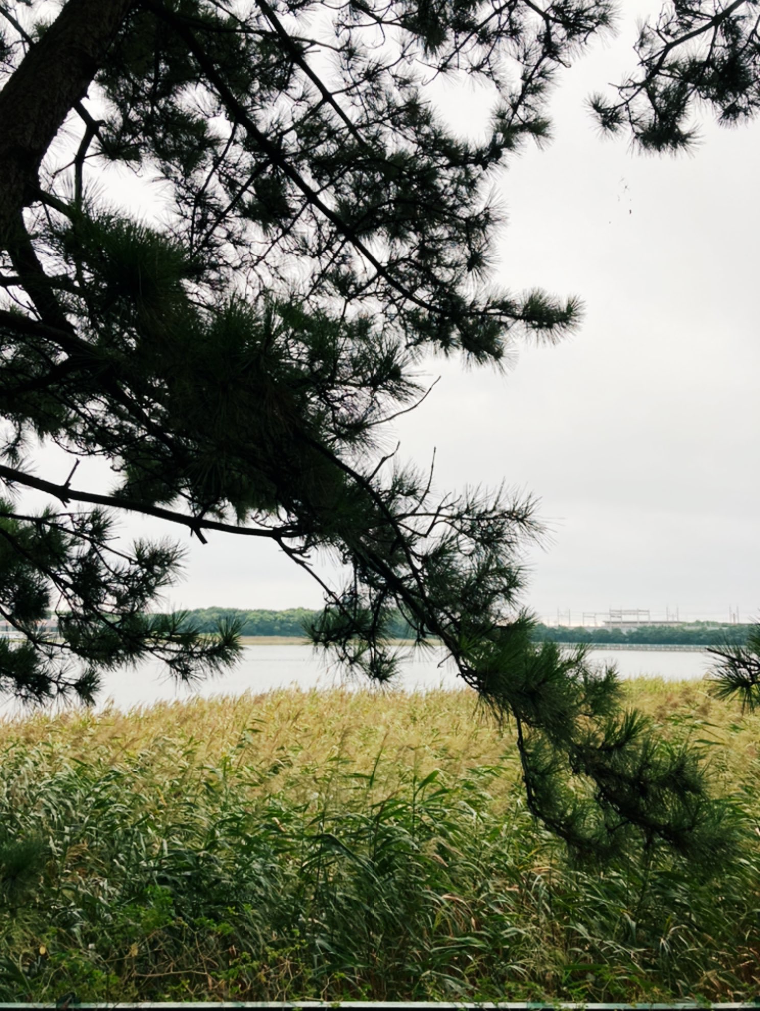 天气凉快下来啦,今天户外跑起来