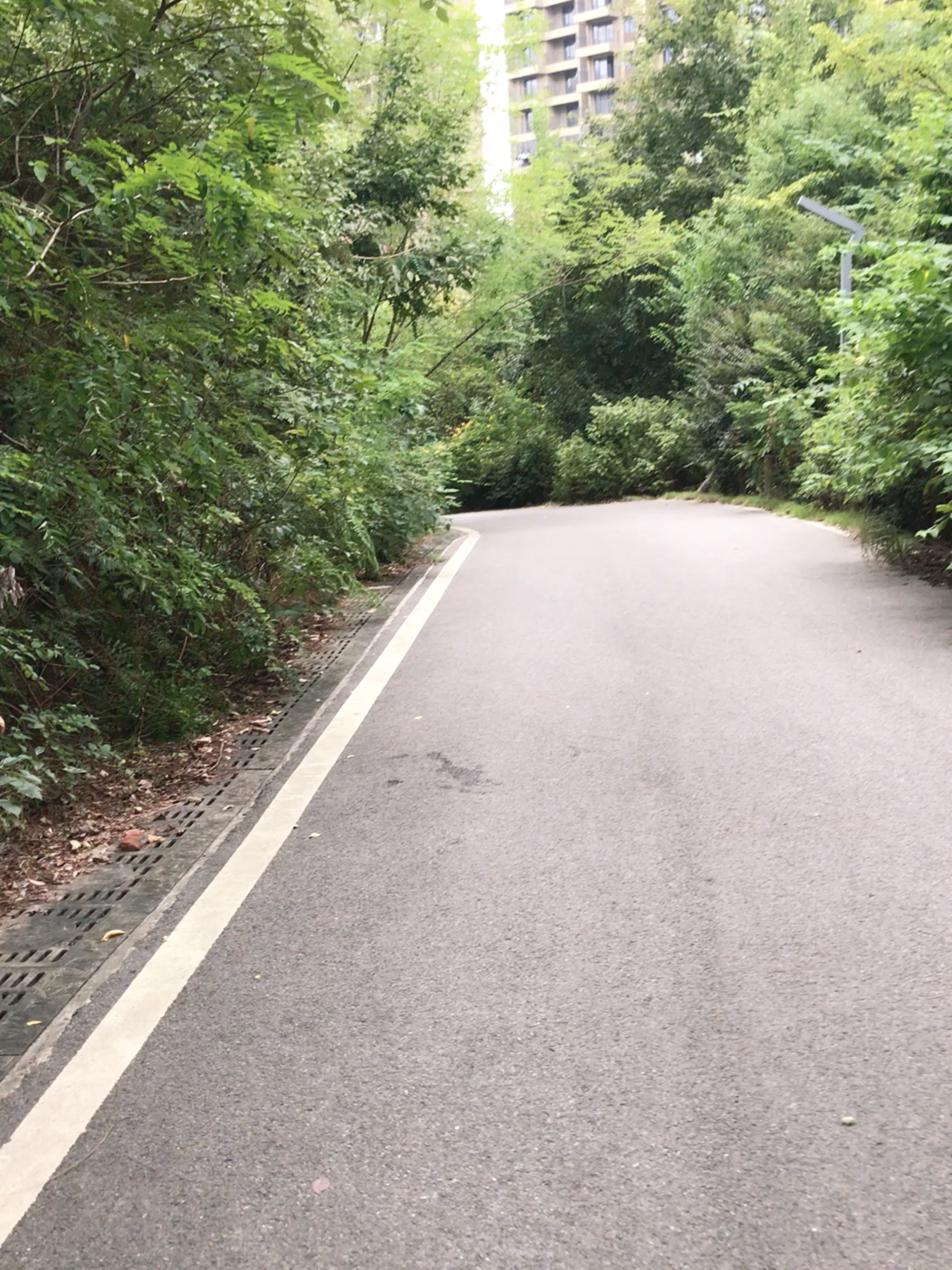 19公里, 42分38秒  完成 梅岭公园  开启跑步实况 精彩动态 骑行莲花