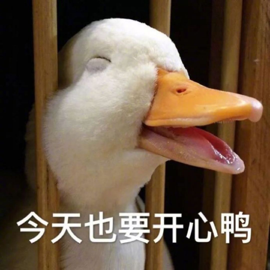 01年的茅台也尝了 好像跟一般的味道真的不太一样 除了说哎呀妈呀真香