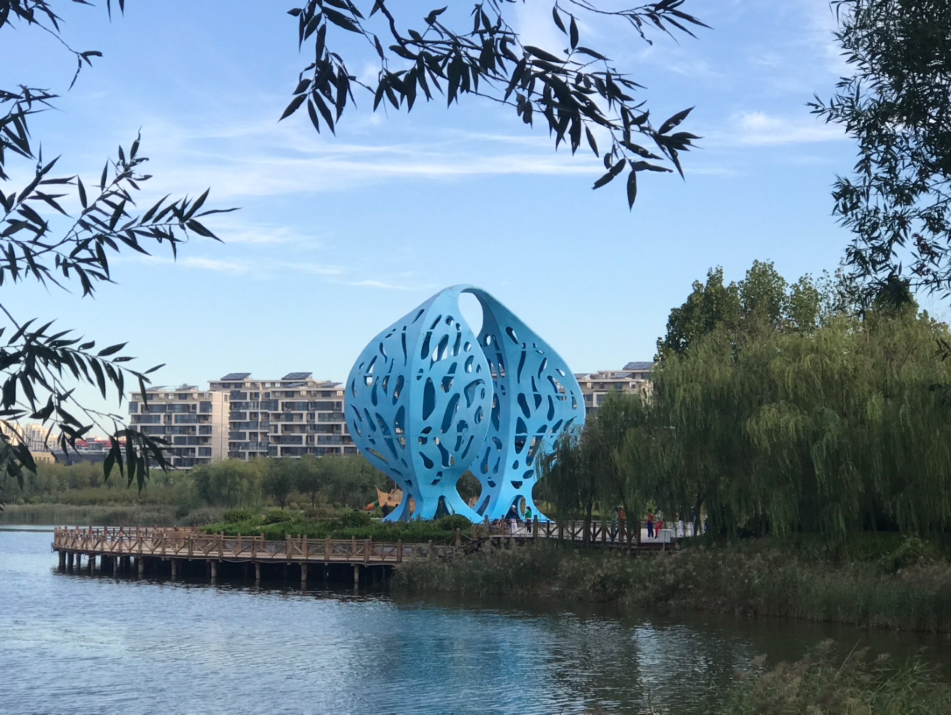 美丽的东营,美丽的黄河三角洲!