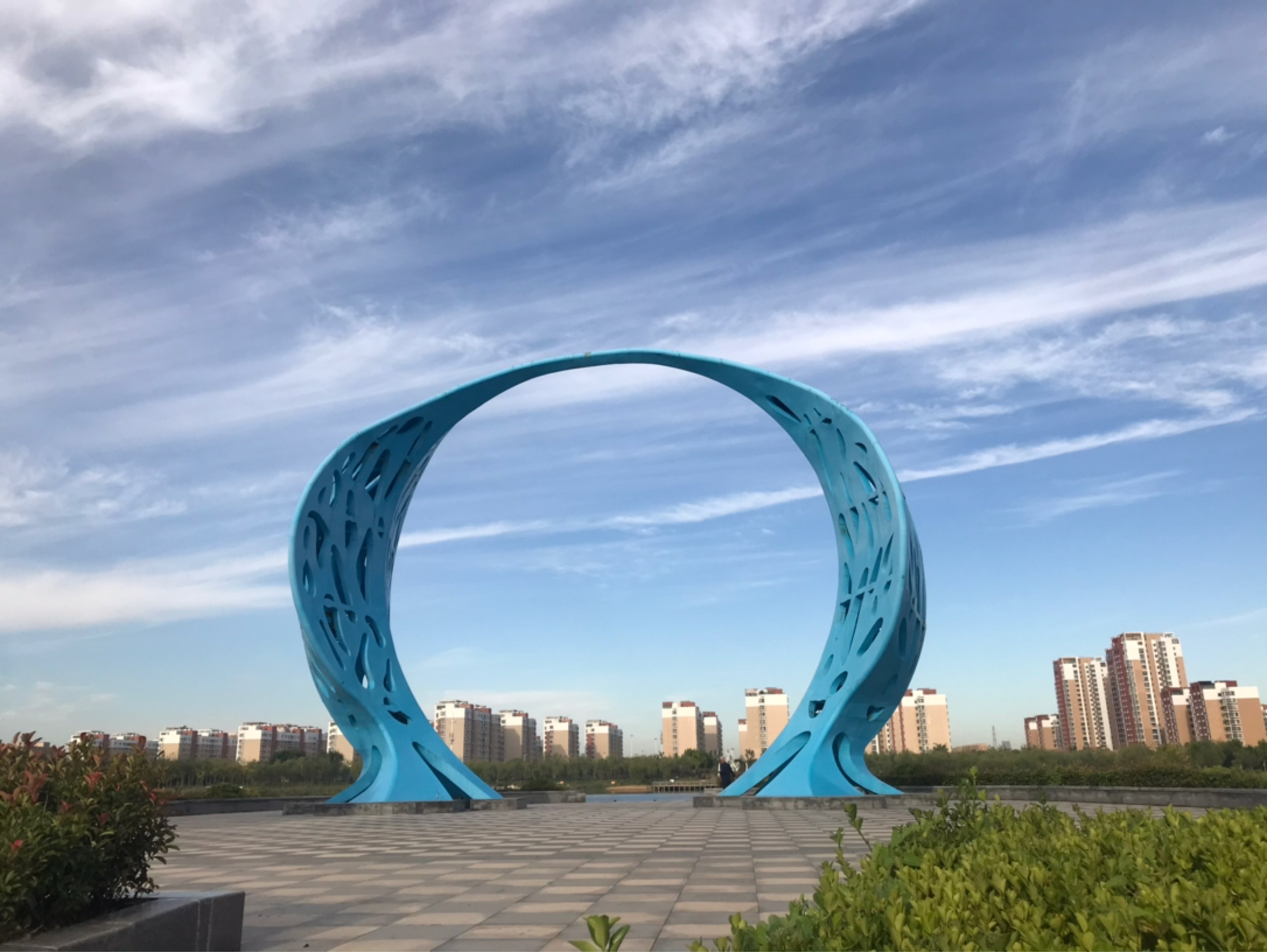 美丽的东营,美丽的黄河三角洲!