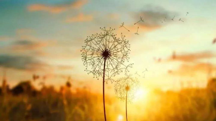 踏实和安稳,方为岁月!