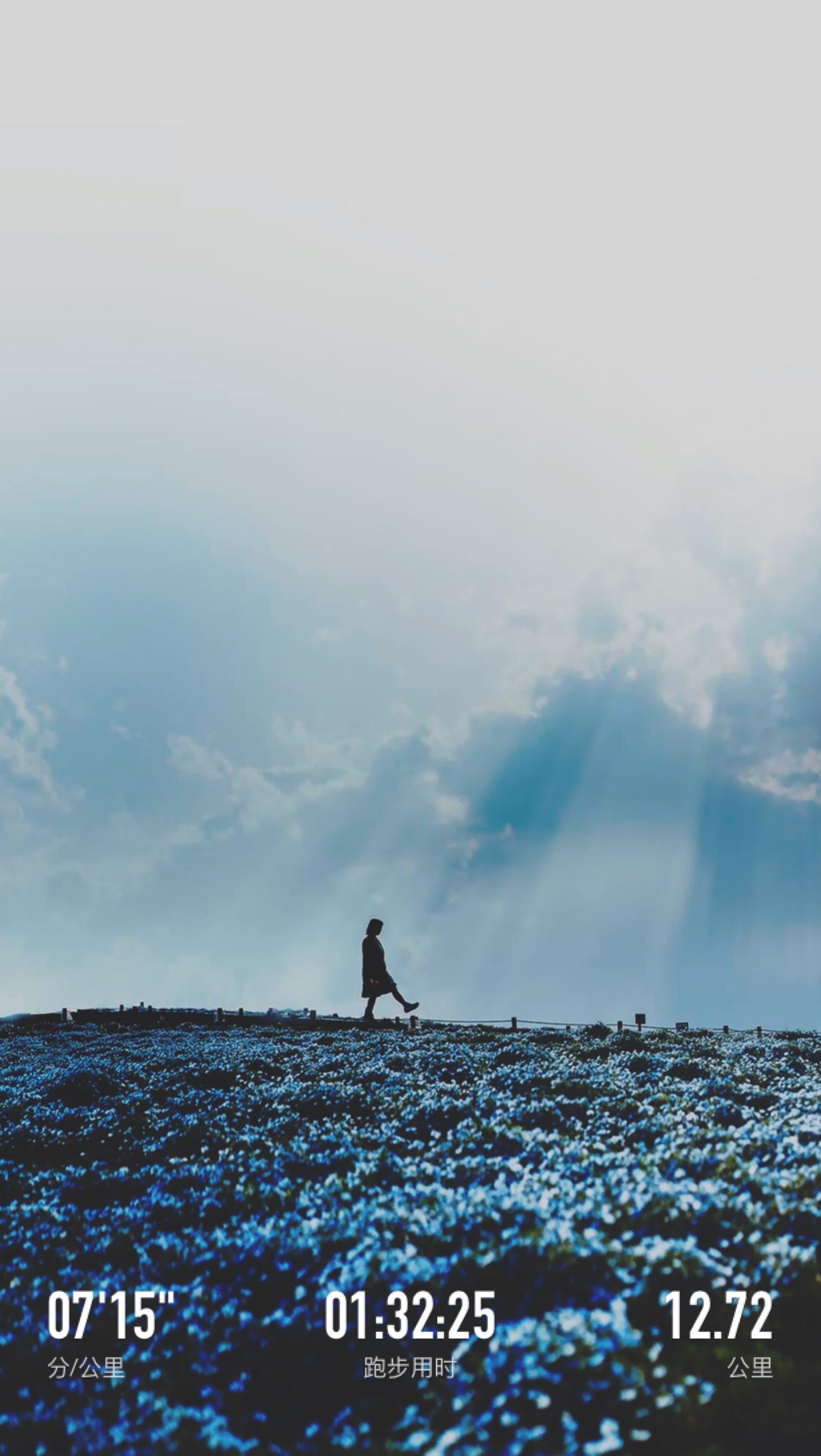 当然要迷失方向,才能到达一个无人能找到的地方.