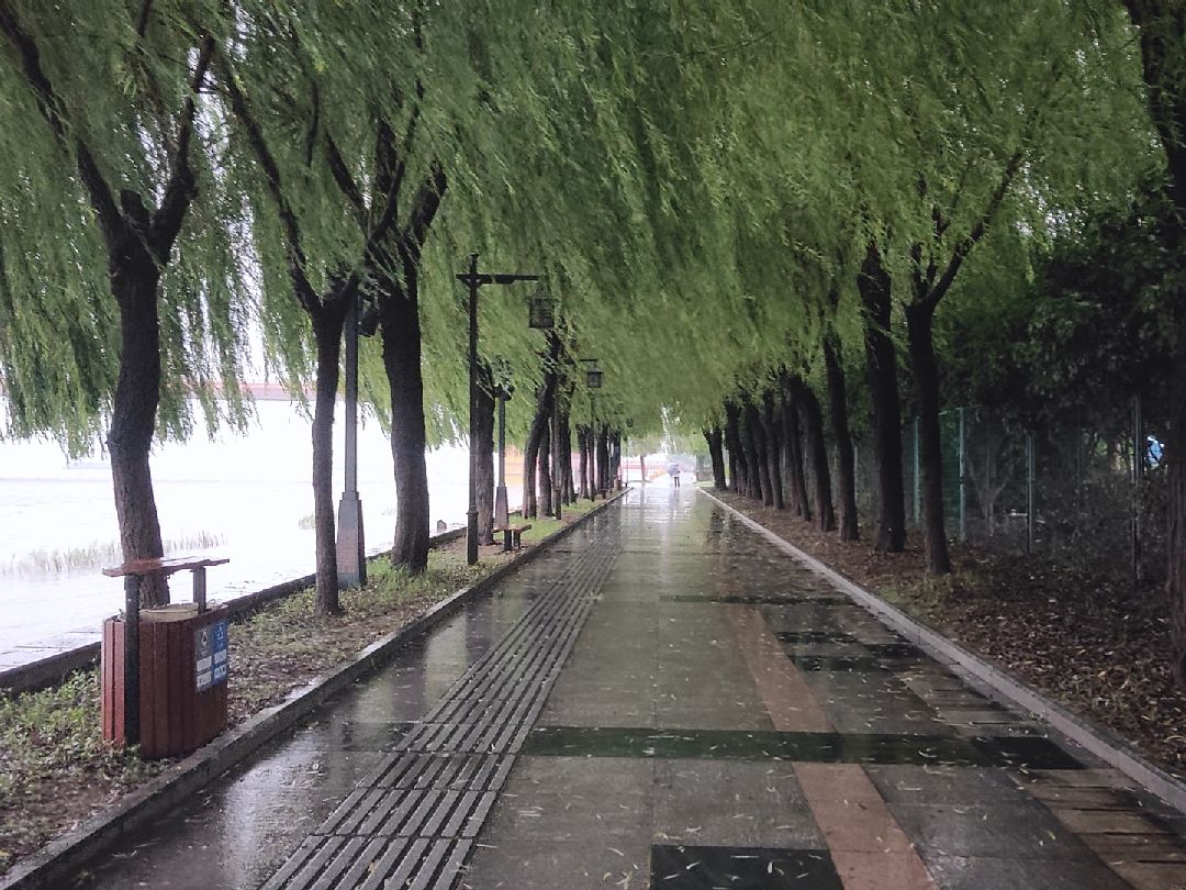 毛毛细雨中跑完,好开心呀!