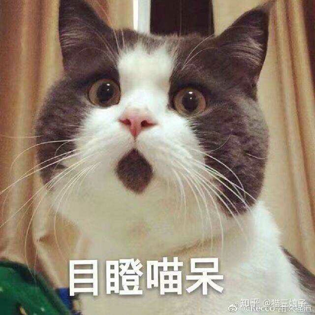 21眼看着体态变形[苦笑]我也无可奈何只能一点点恢复锻炼目前只能做上