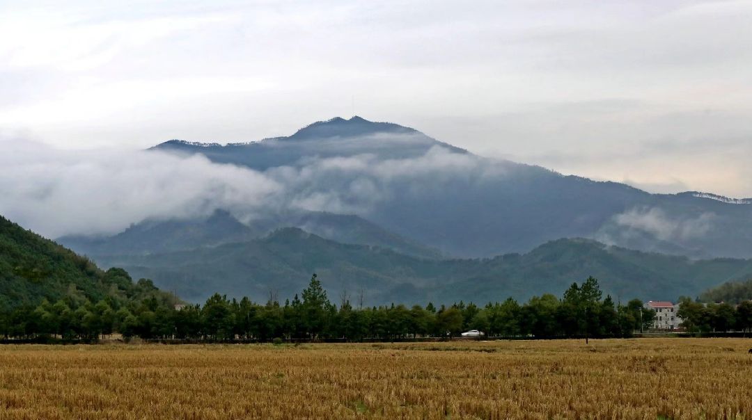 李李@杜慎毅本次活动圆满举办离不开你两的精心筹划,以及与园方