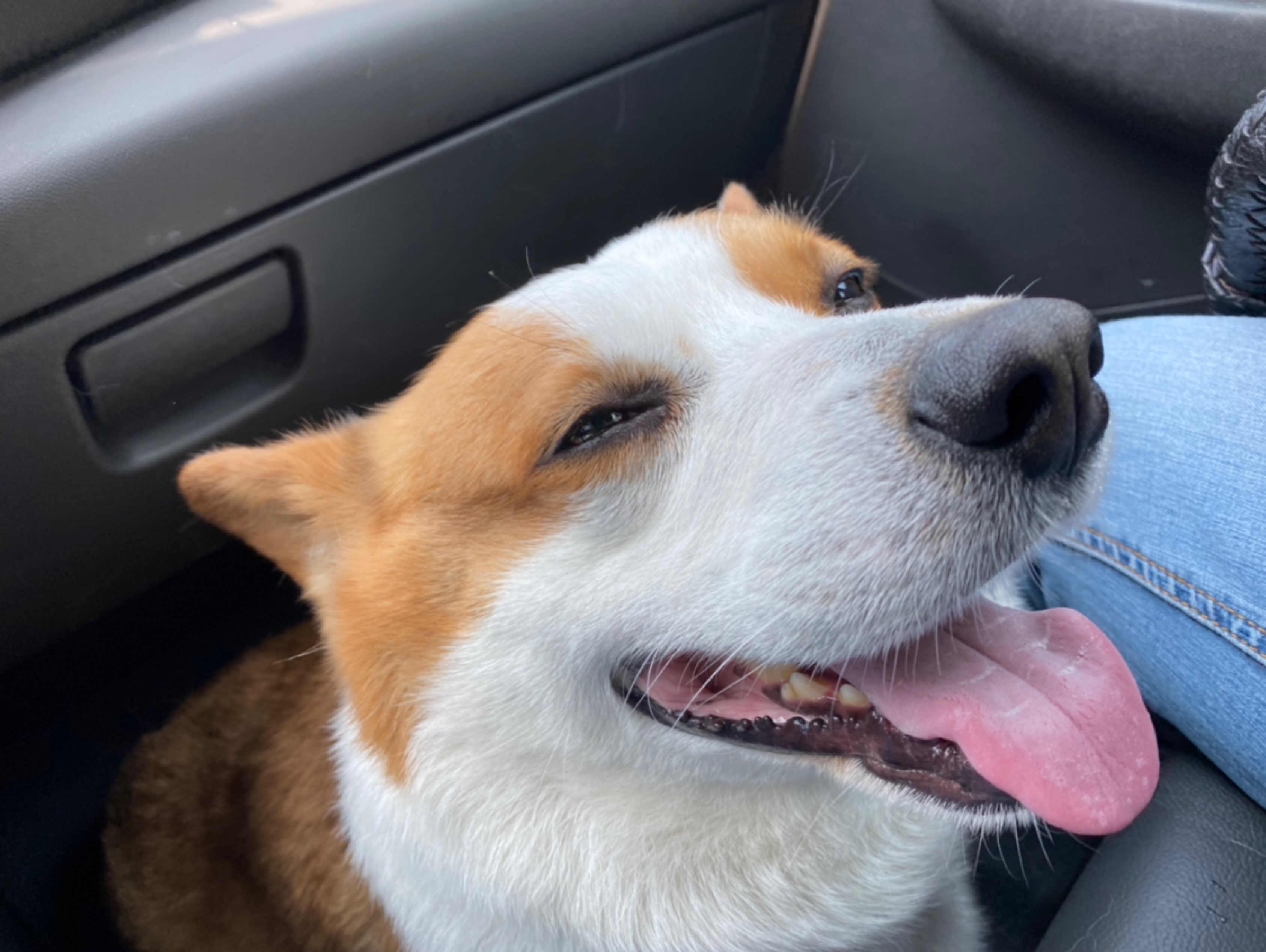 目标13km,实际5km 该早点出门的,7点还没下,7点