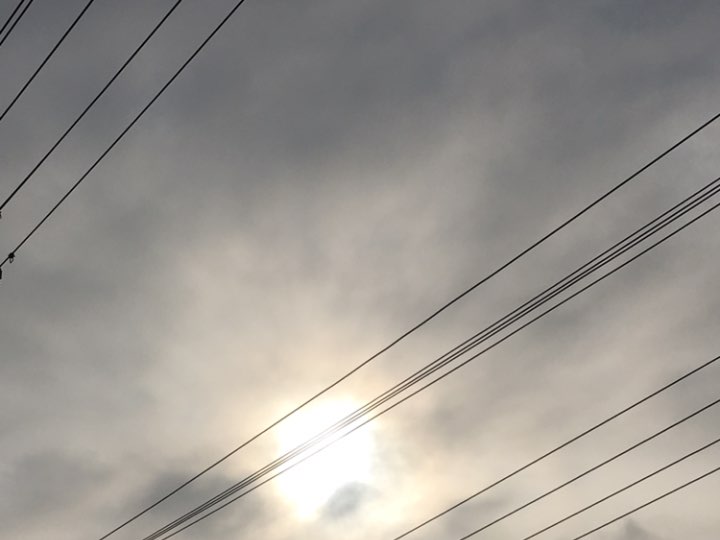 不辜负久违的太阳