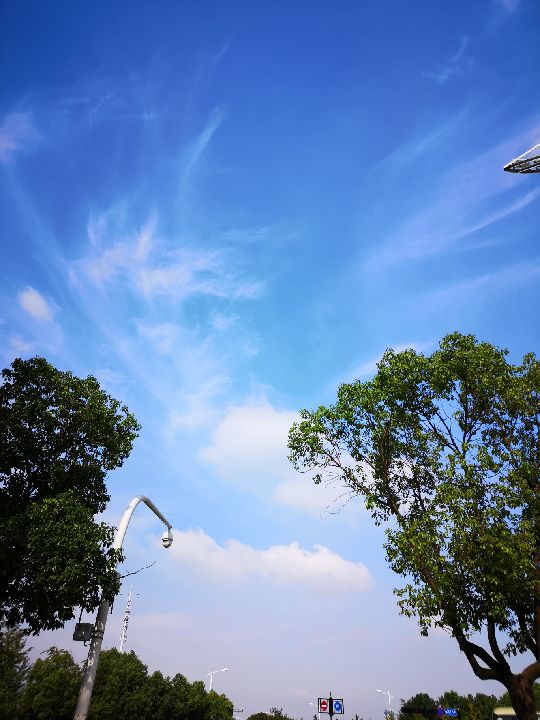 治愈系的阳光治愈系的花香
