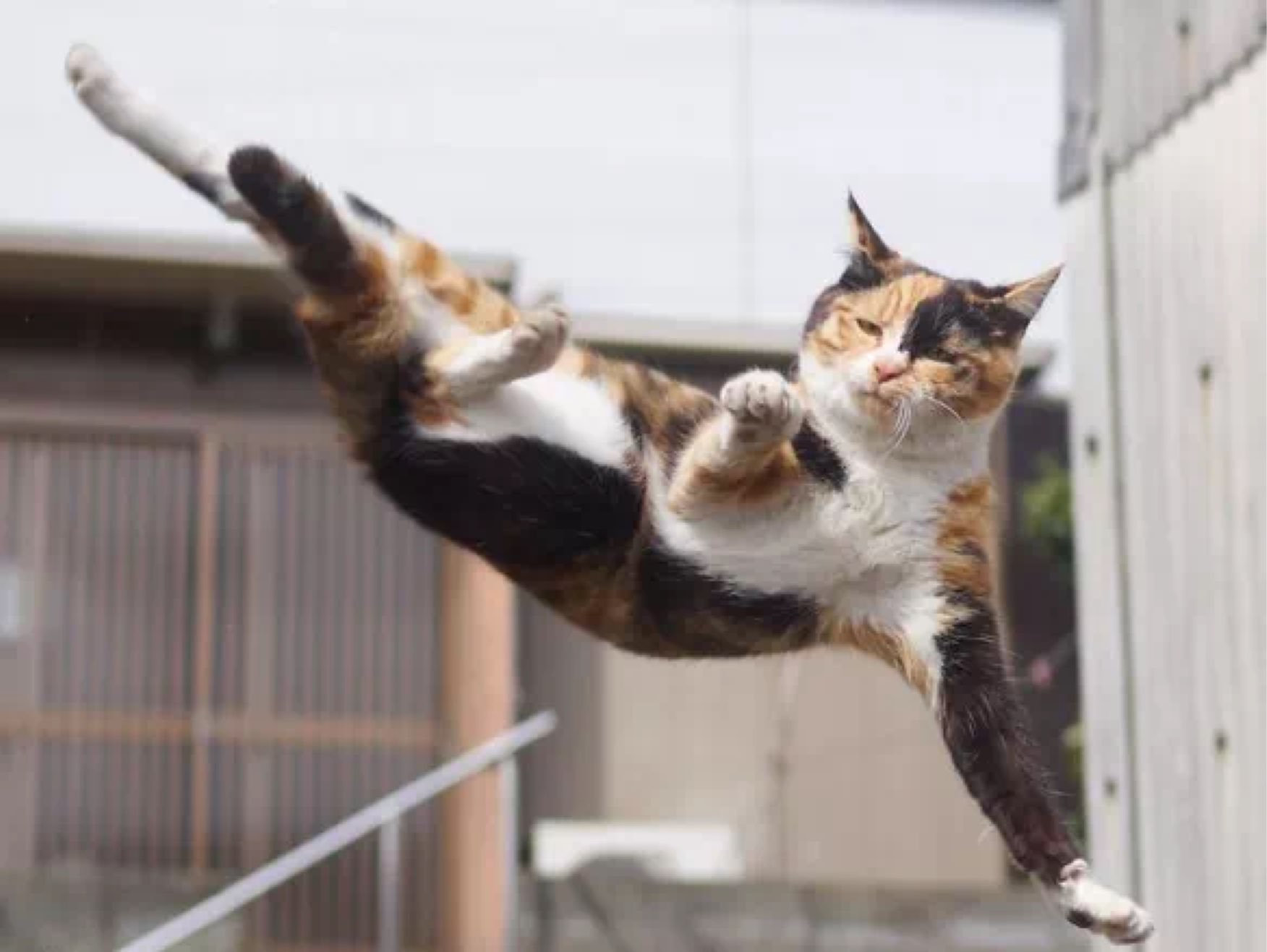 跳绳也是要练的