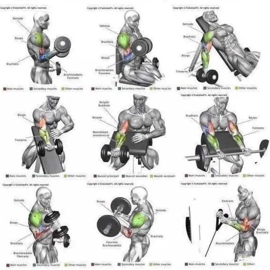 第89/90天 手臂杠铃体前屈臂 25&15kg&20kg 6*