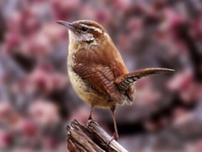 放假事多反而不如上班有规律