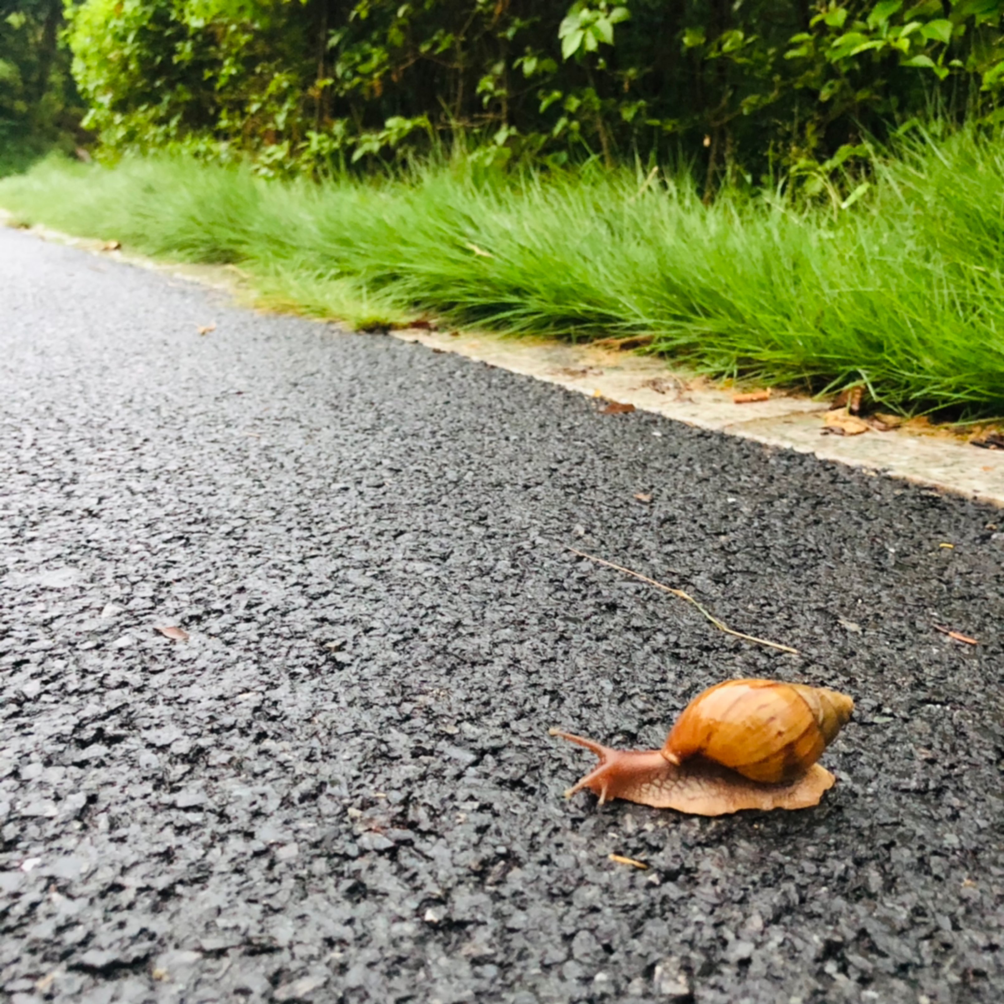 下着毛毛细雨图片图片