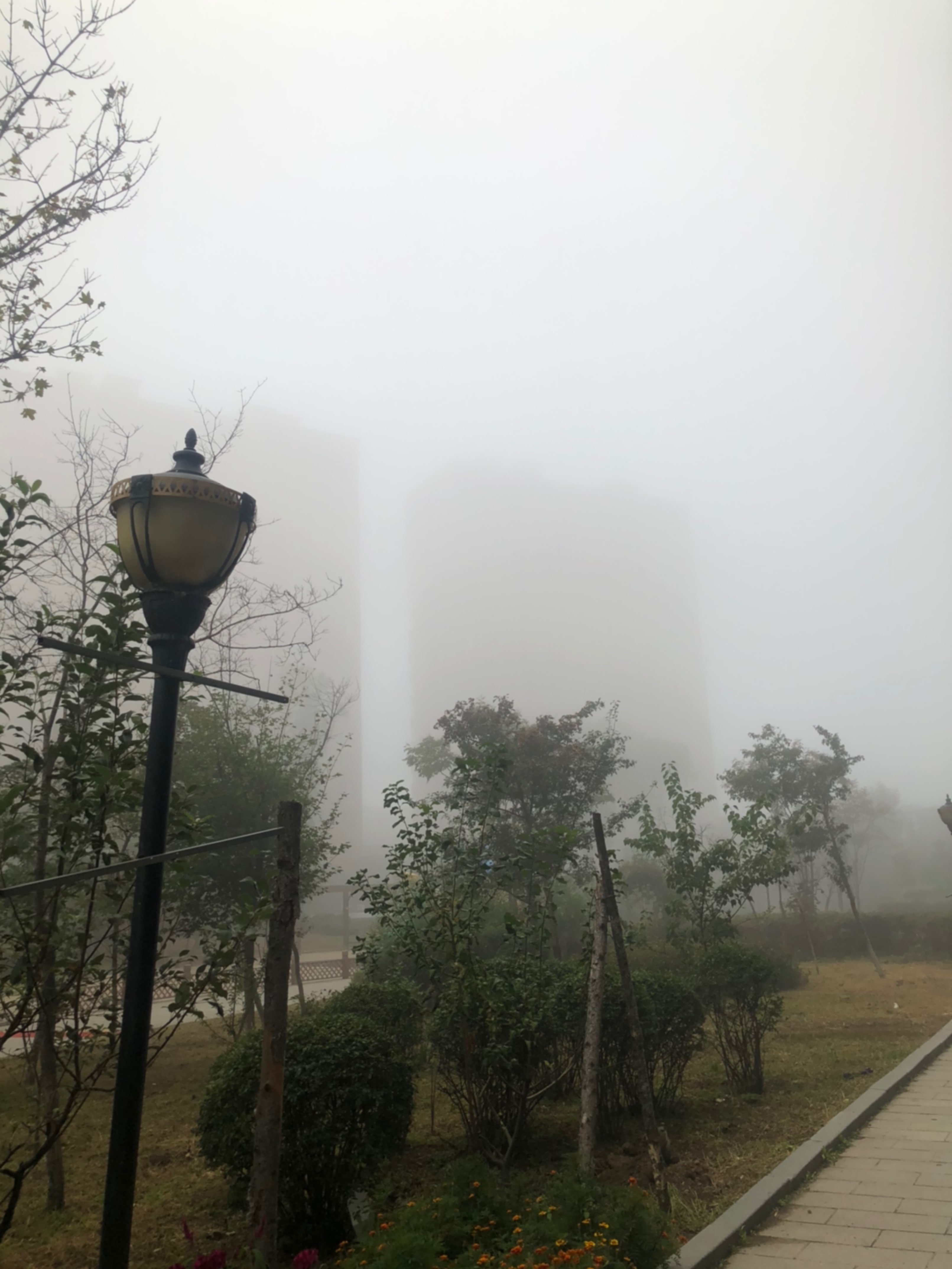 雾很大,跑完头发湿了