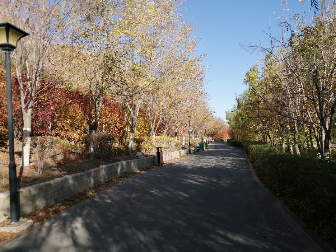 凉飕飕的,景不错