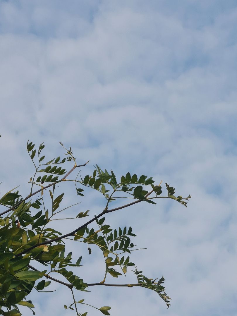 轻松了不少再次证明我是单细胞生物烦恼一旦解除心情顿时畅快无比什么