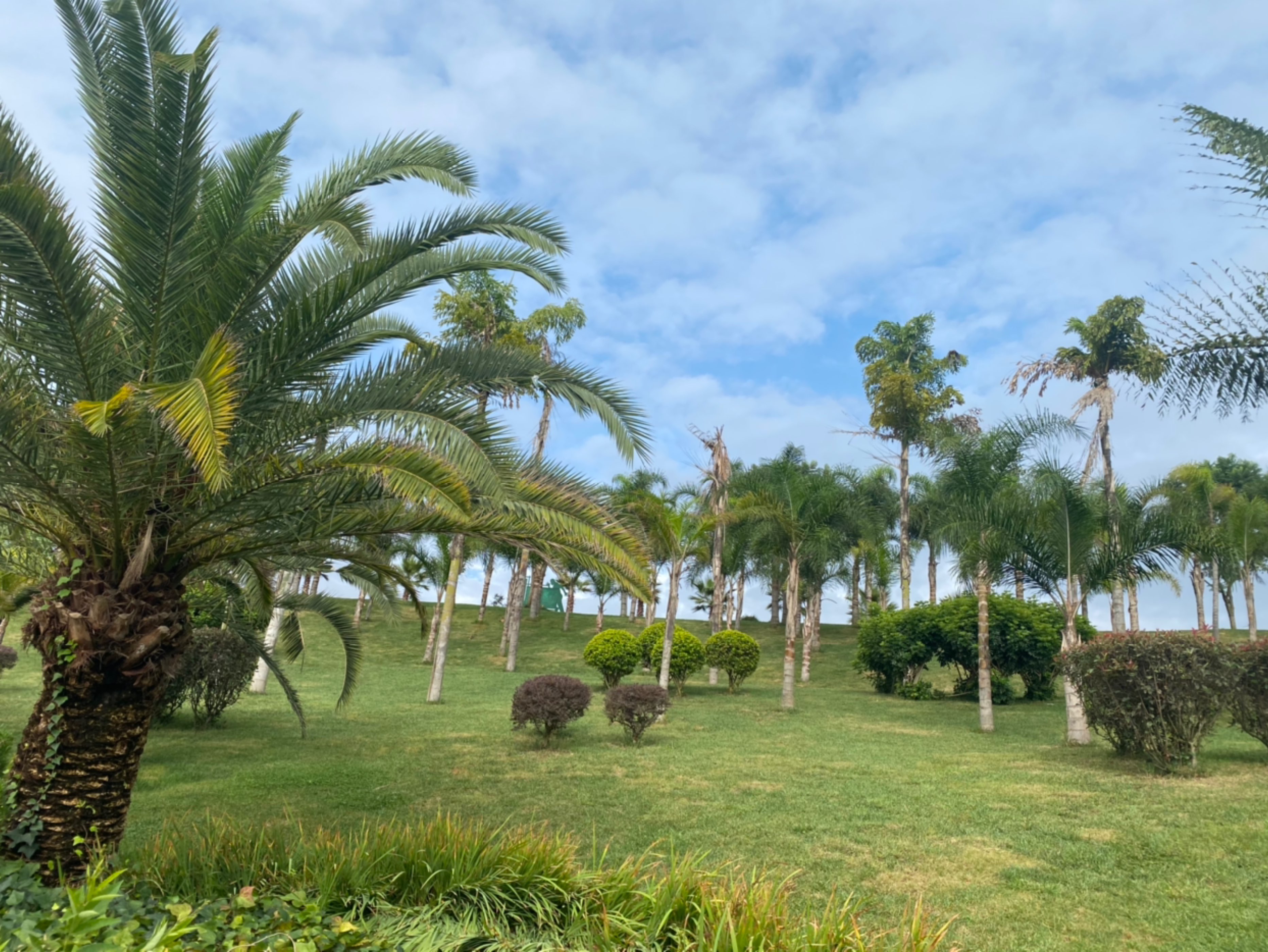 红河州建水县打卡青山湖五龙湖城市公园广慈湖没下雨了真好