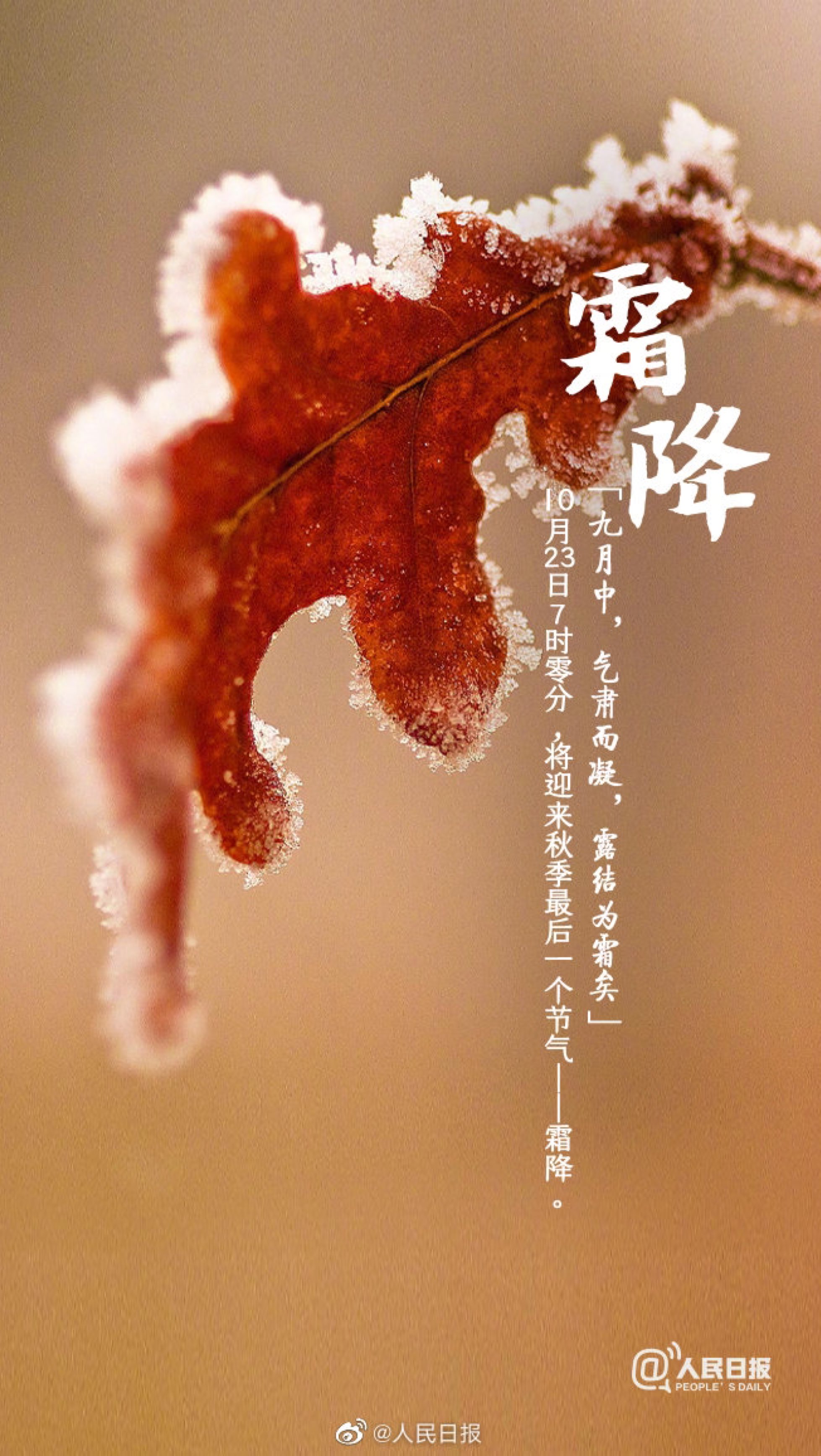 2020年10月23日晨跑5公里今日是霜降出被窝都需要勇气更何况是出门