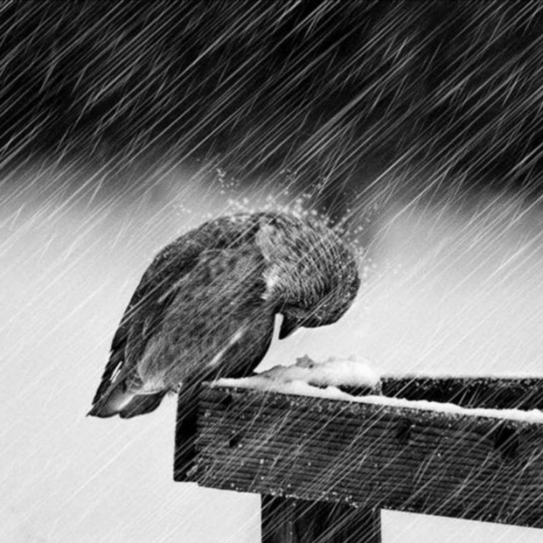 前路虽万丈深渊,却也是前程万里.