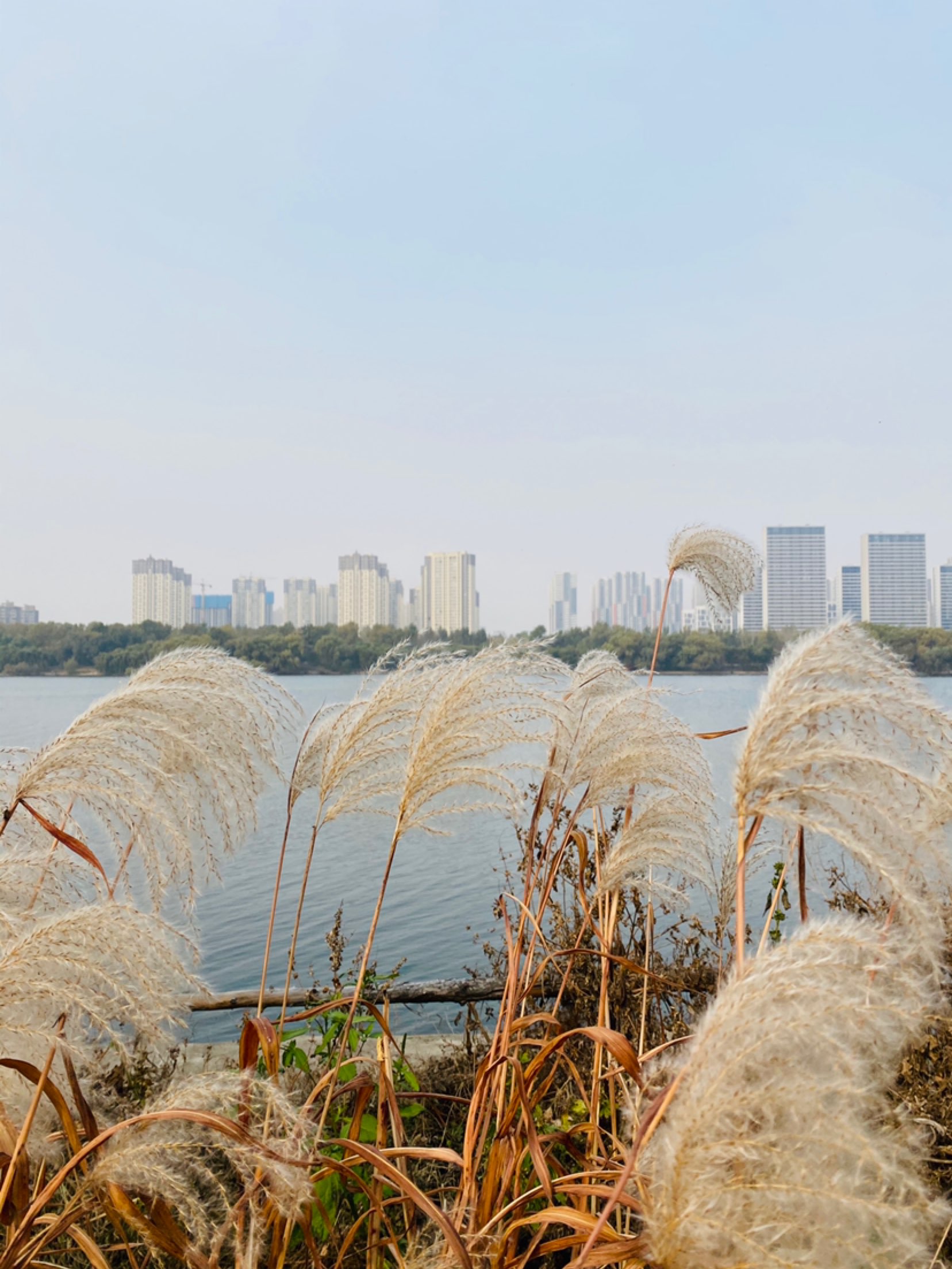 一路慢跑南阳湖大桥,五彩秋季!