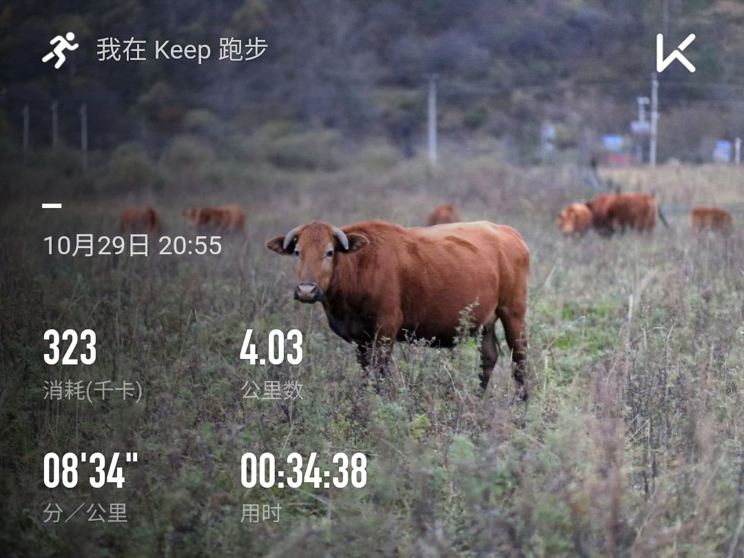 關注 騎行蓮花山 一路風景一路歌～ 小中記錄減肥的祩5天 生日前體重