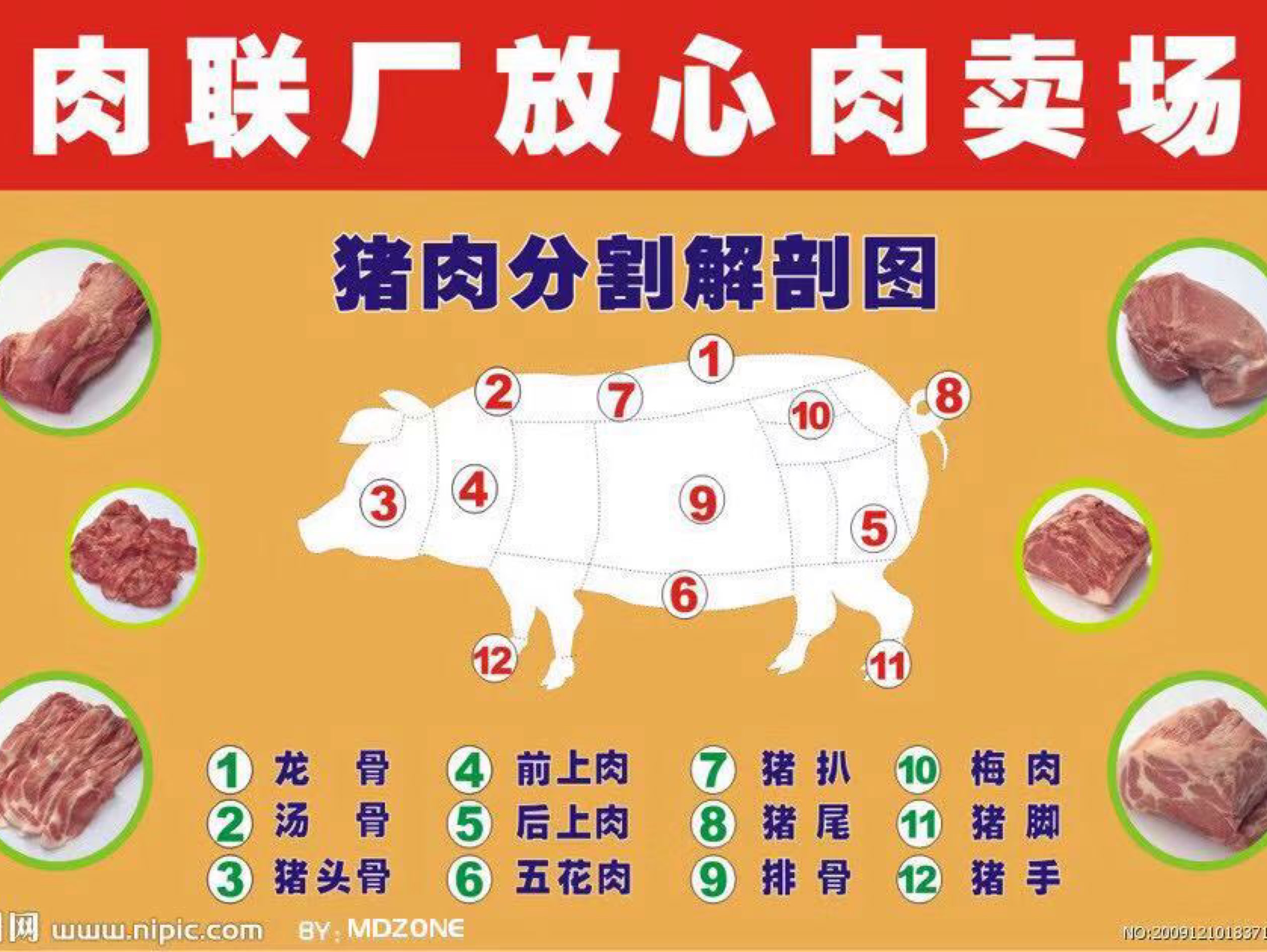 练腹肌的喝咖啡的元宝的动态_keep