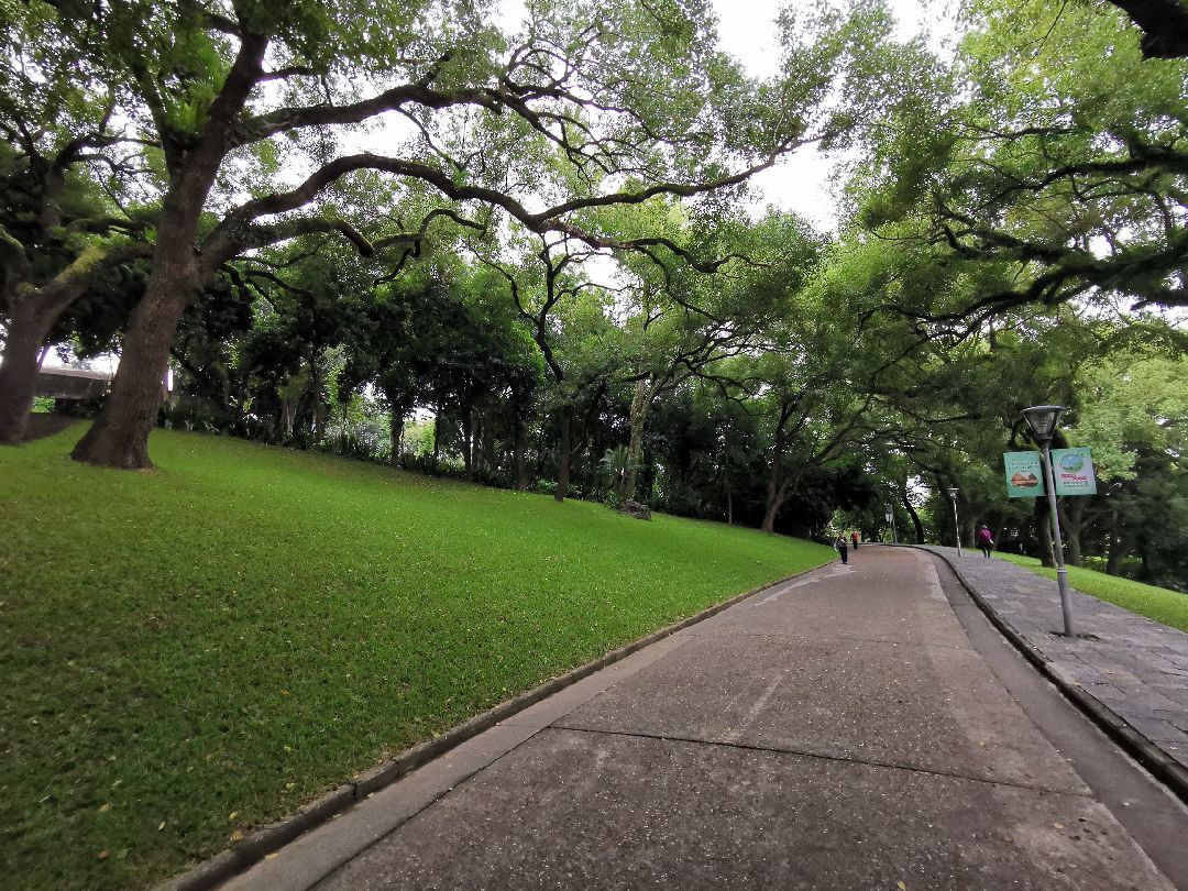 广西南宁人民公园晨跑533公里一边跑一边探路差点弄丢了自己路况一般