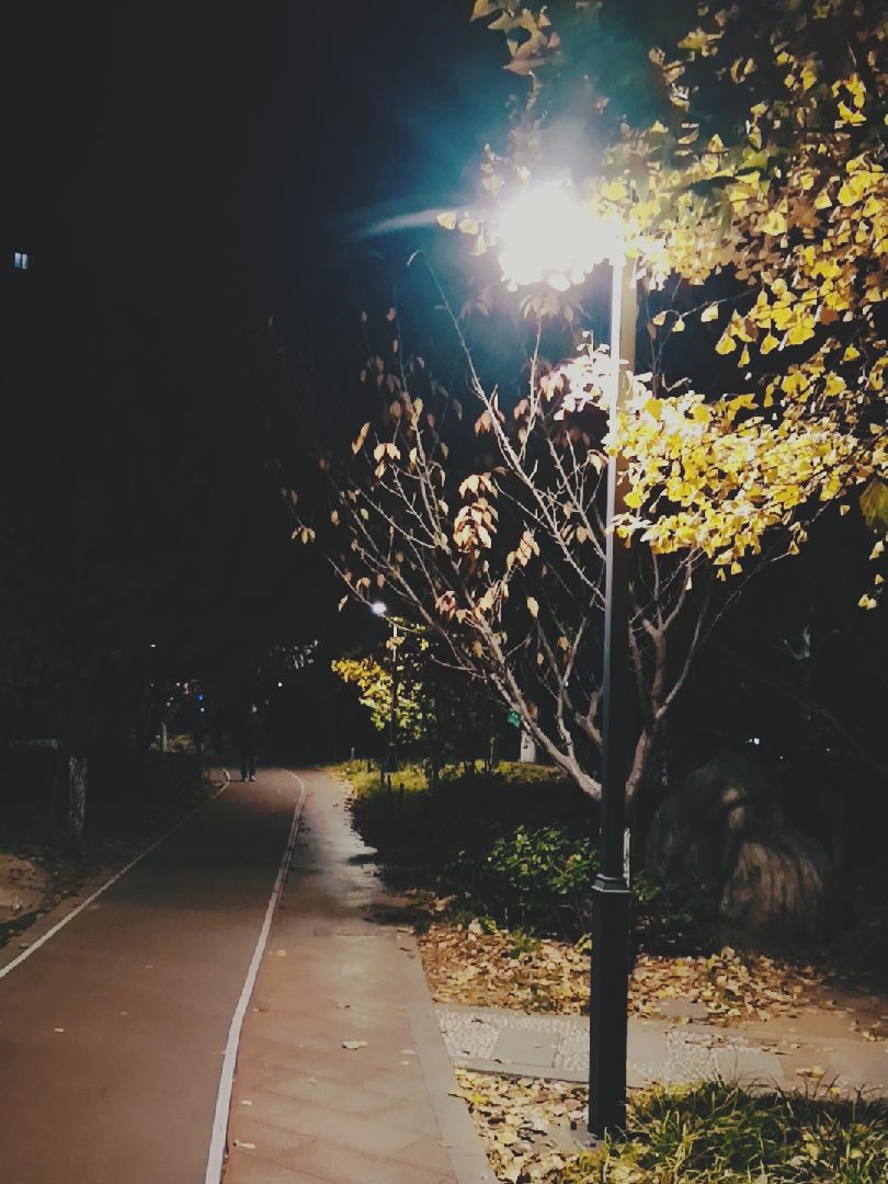 黑暗中的明灯,照亮前行的道路