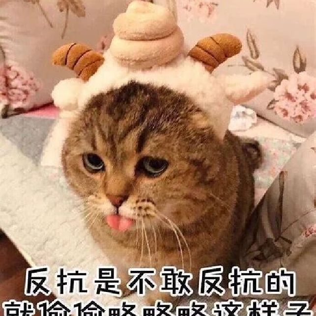 919191今日份直播无比欢快0404忽然不拘谨了呢哈哈讲_keep