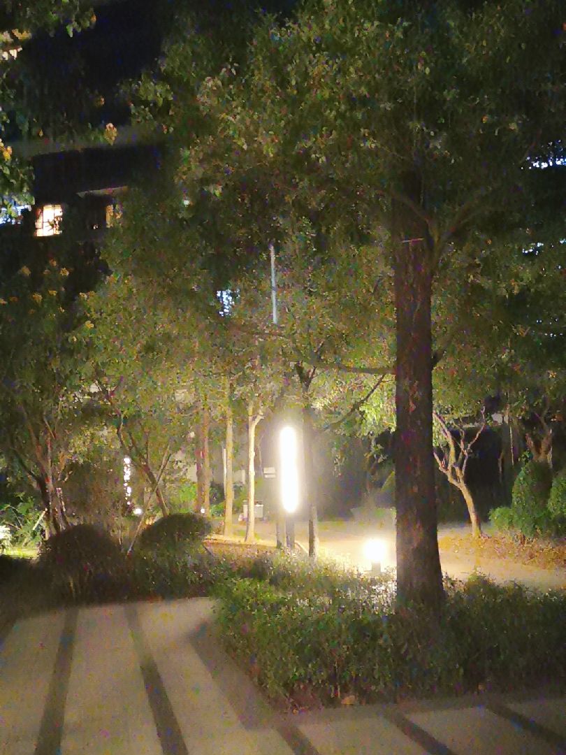 搬家后第一次在小区夜跑每一圈只有250米朦胧感十足一生二二生三三生