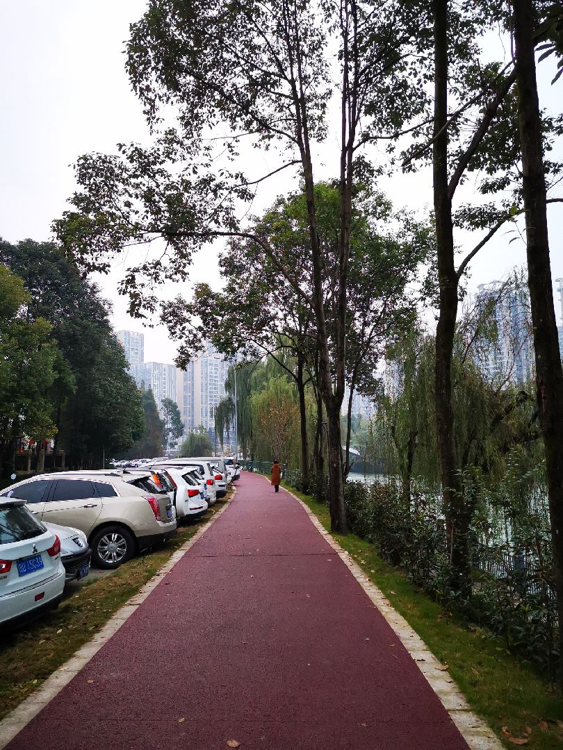 江安河绿道跑起走