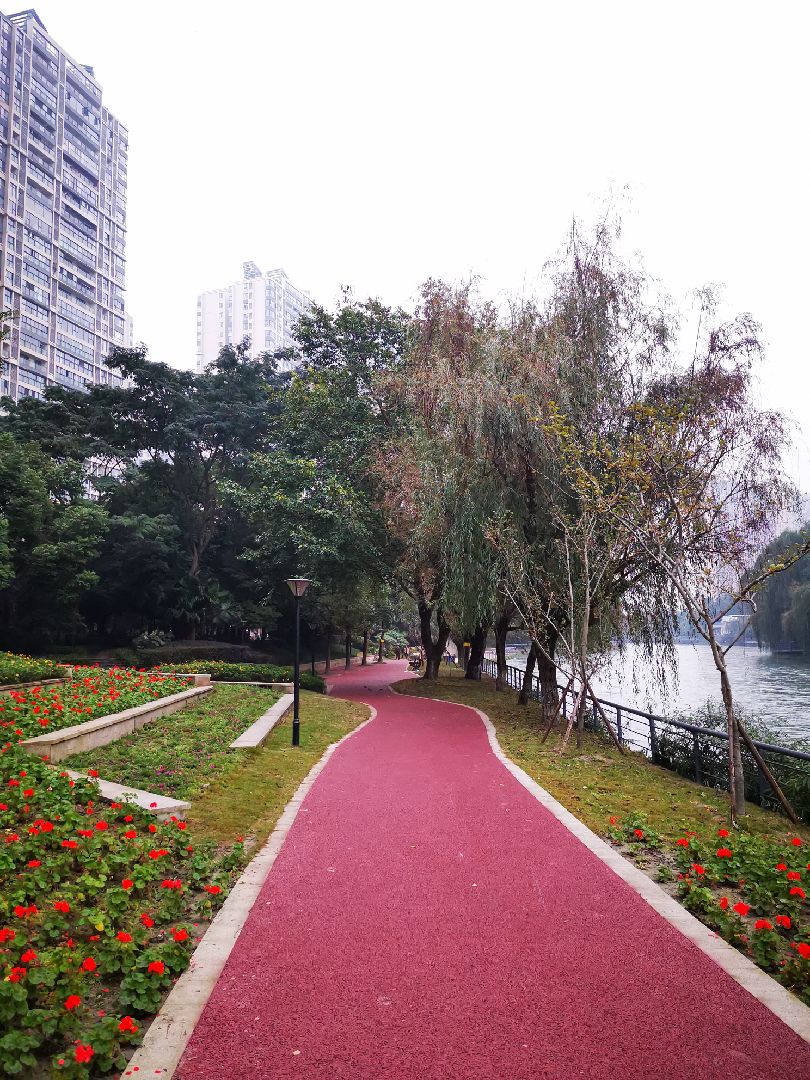 江安河绿道跑起走