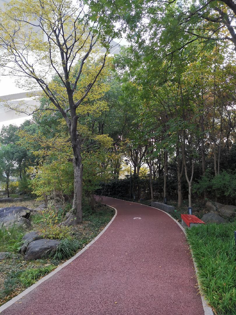 上海东岸绿道是跑步的天堂