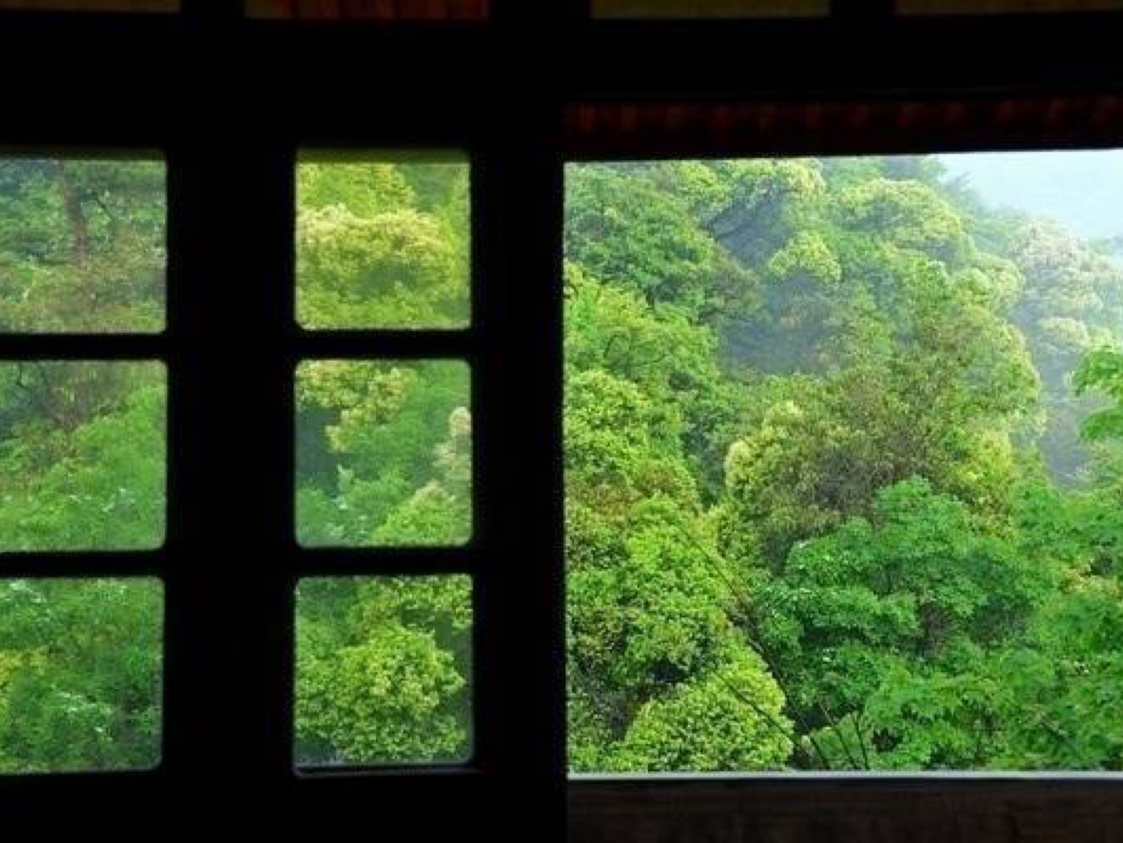 窗外啊绿油油看的人心痒痒