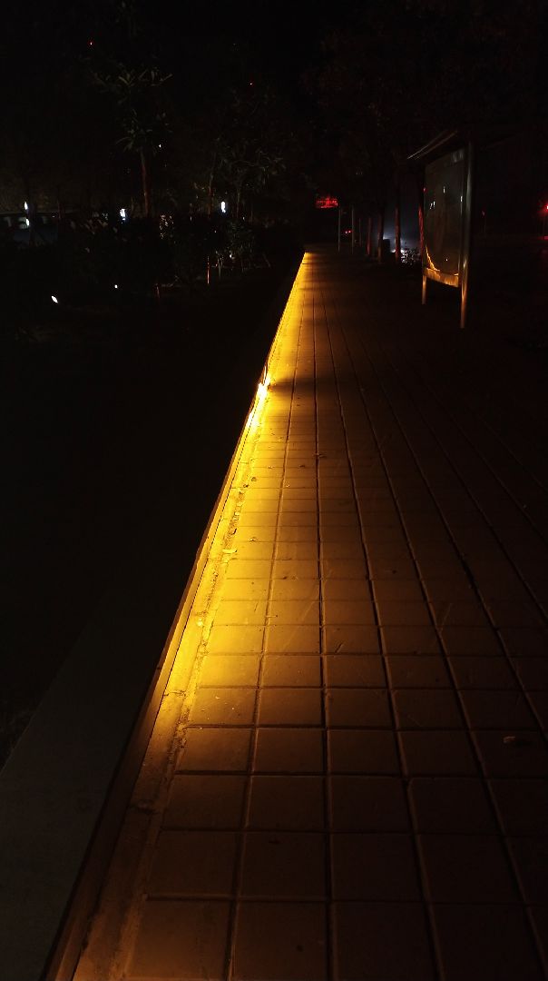 学了一天听着张震讲故事走在夜晚的马路旁跑会步散会步很舒服