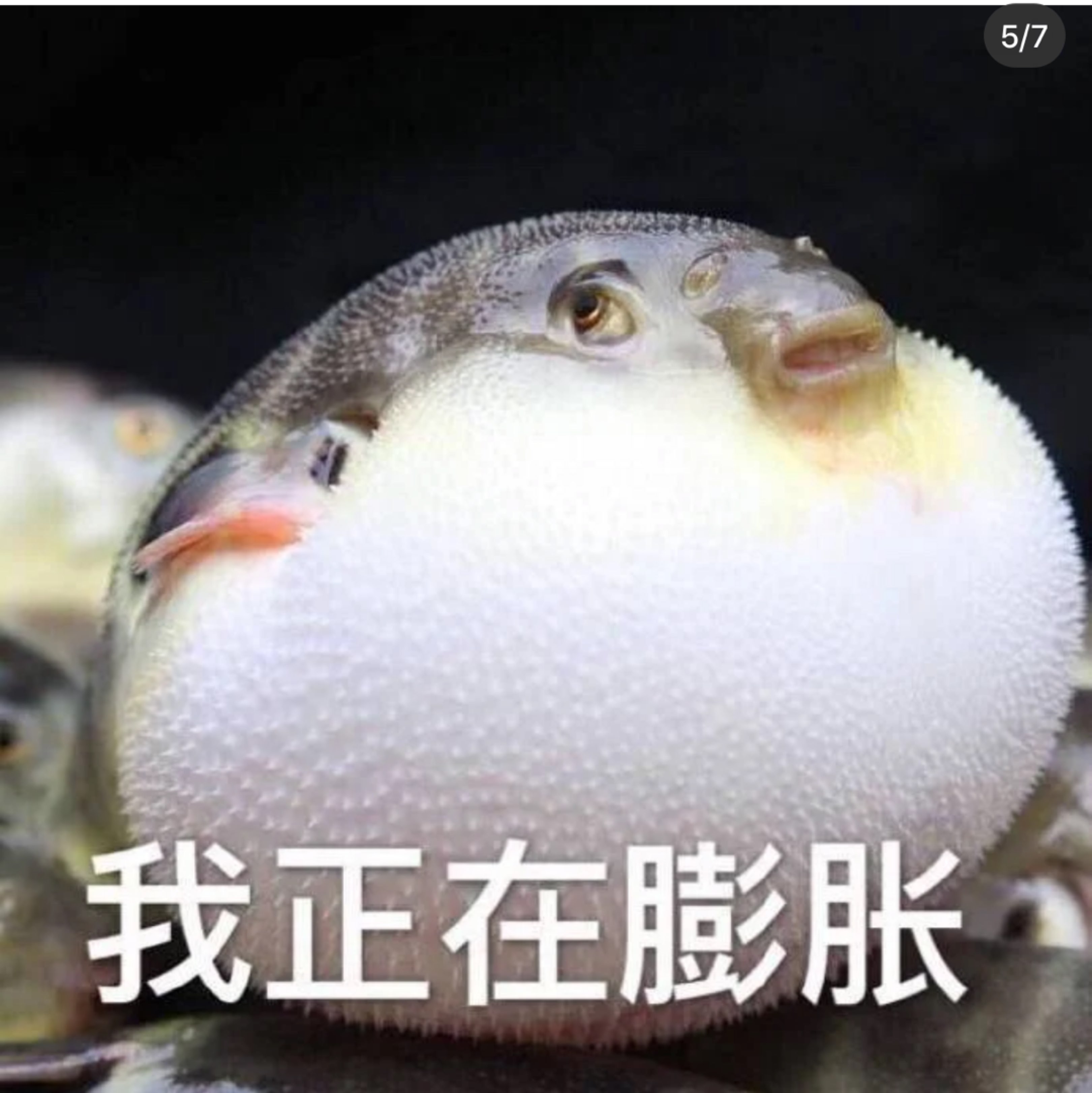 是熟悉的节奏!