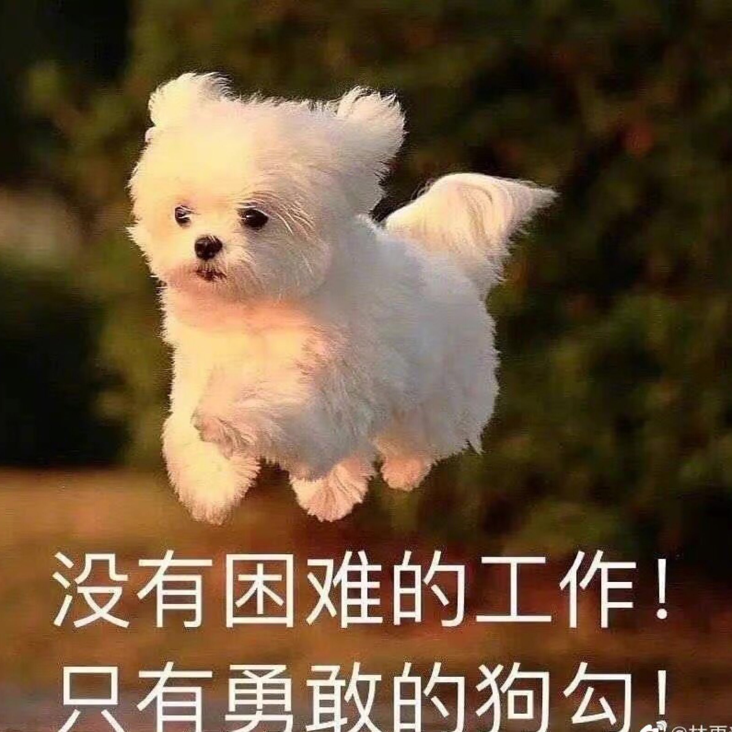 今天还是蛮勇气满满的一天今天鼓起勇气要了微信