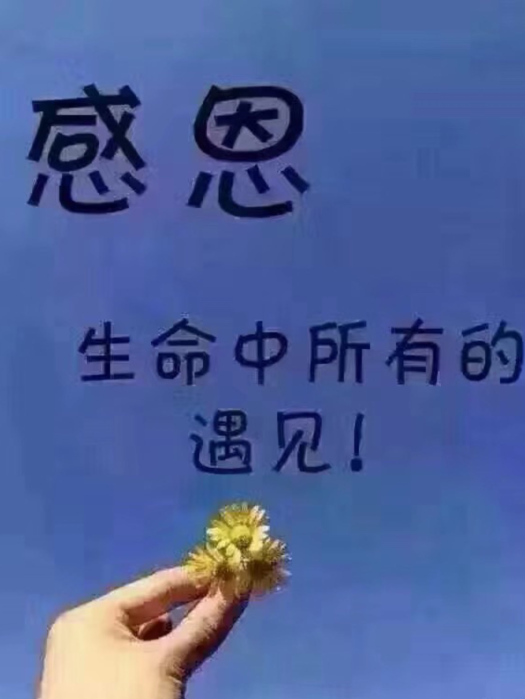 打卡358 感恩生命总所有遇见!加油