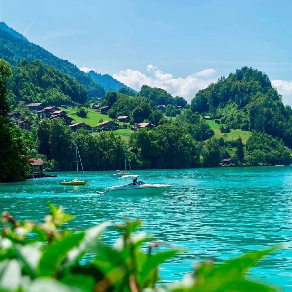 养眼风景图眼睛累了就看看不管是绿草如茵还是绿树成荫不管是青山如黛