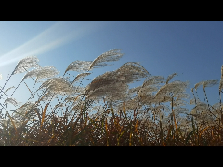 今天的风有点大